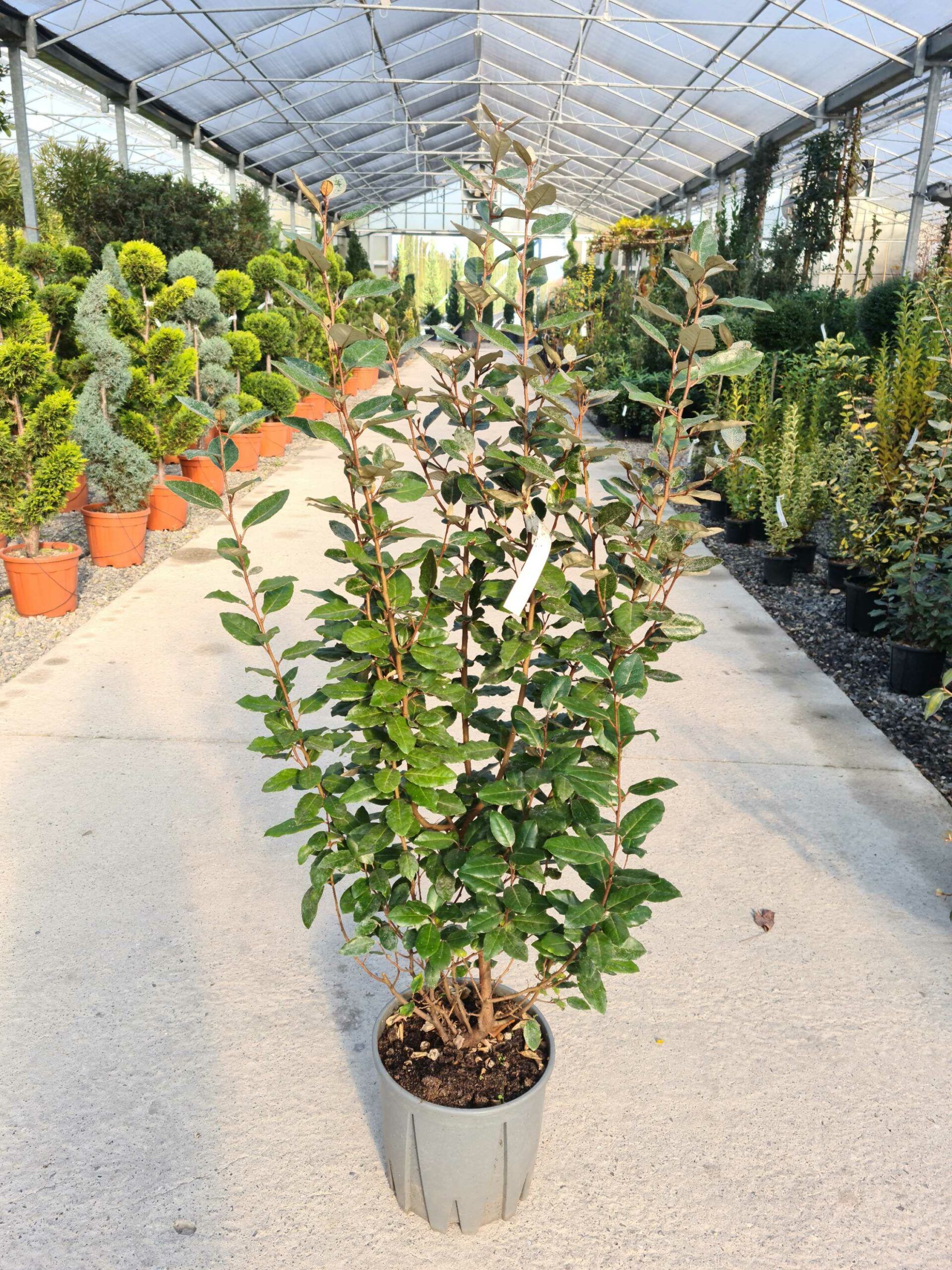 1639477799 scaled 4f6d386b