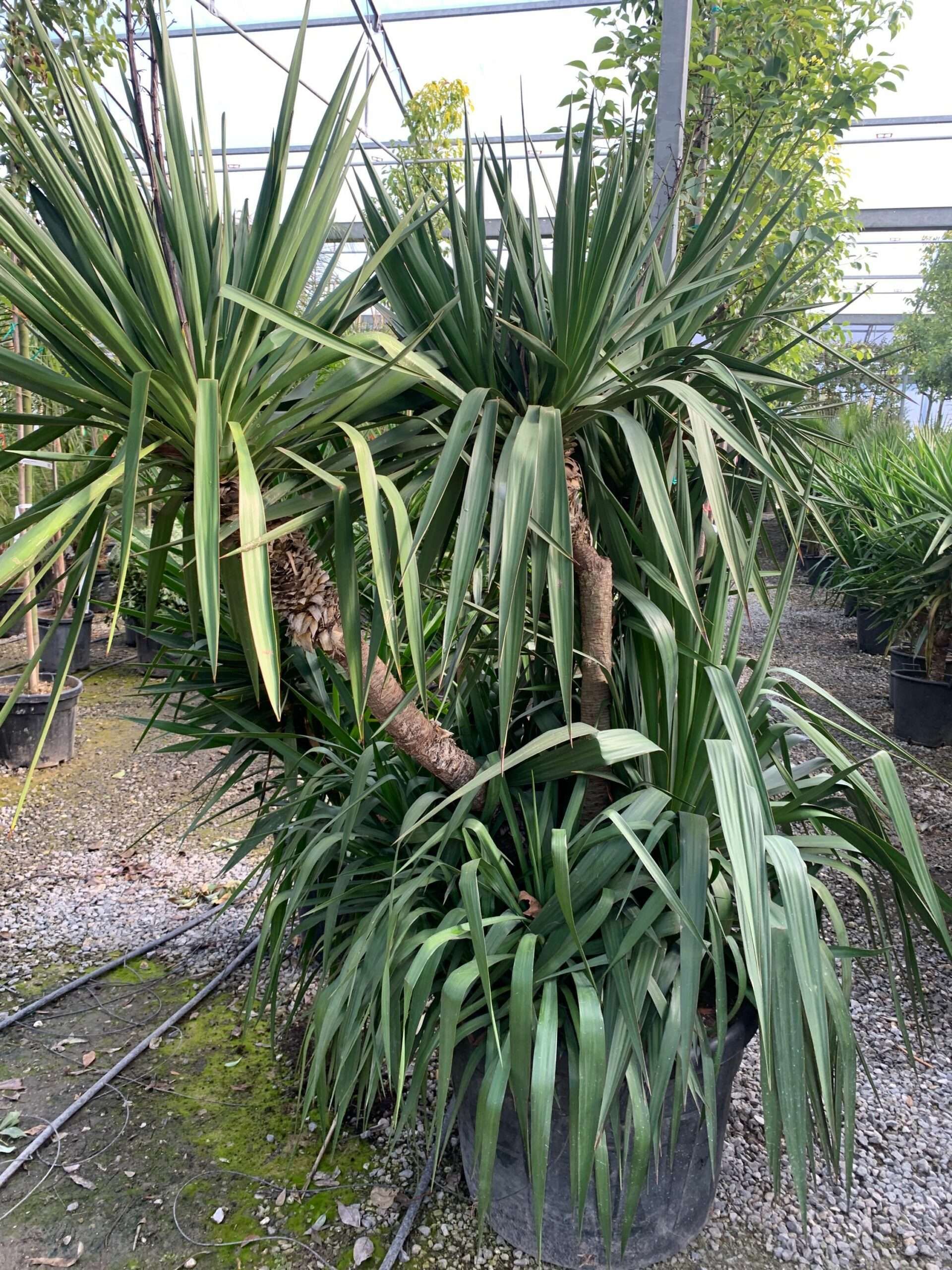 1643713304 scaled 4f060912