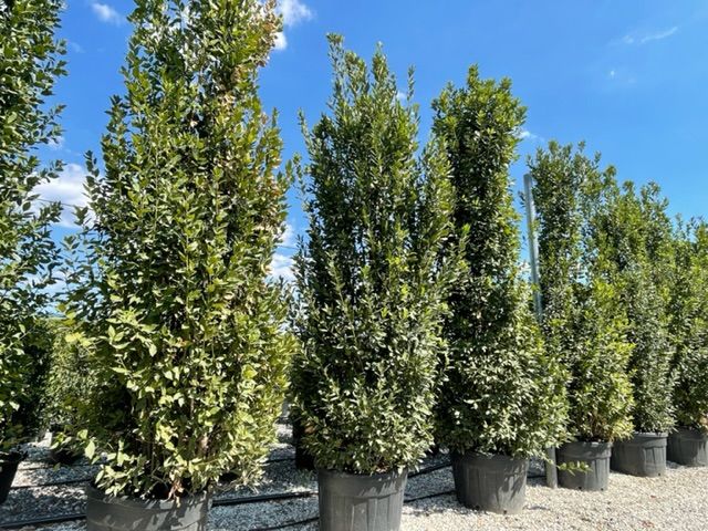 1661587972 IMG 2622 4f36845c