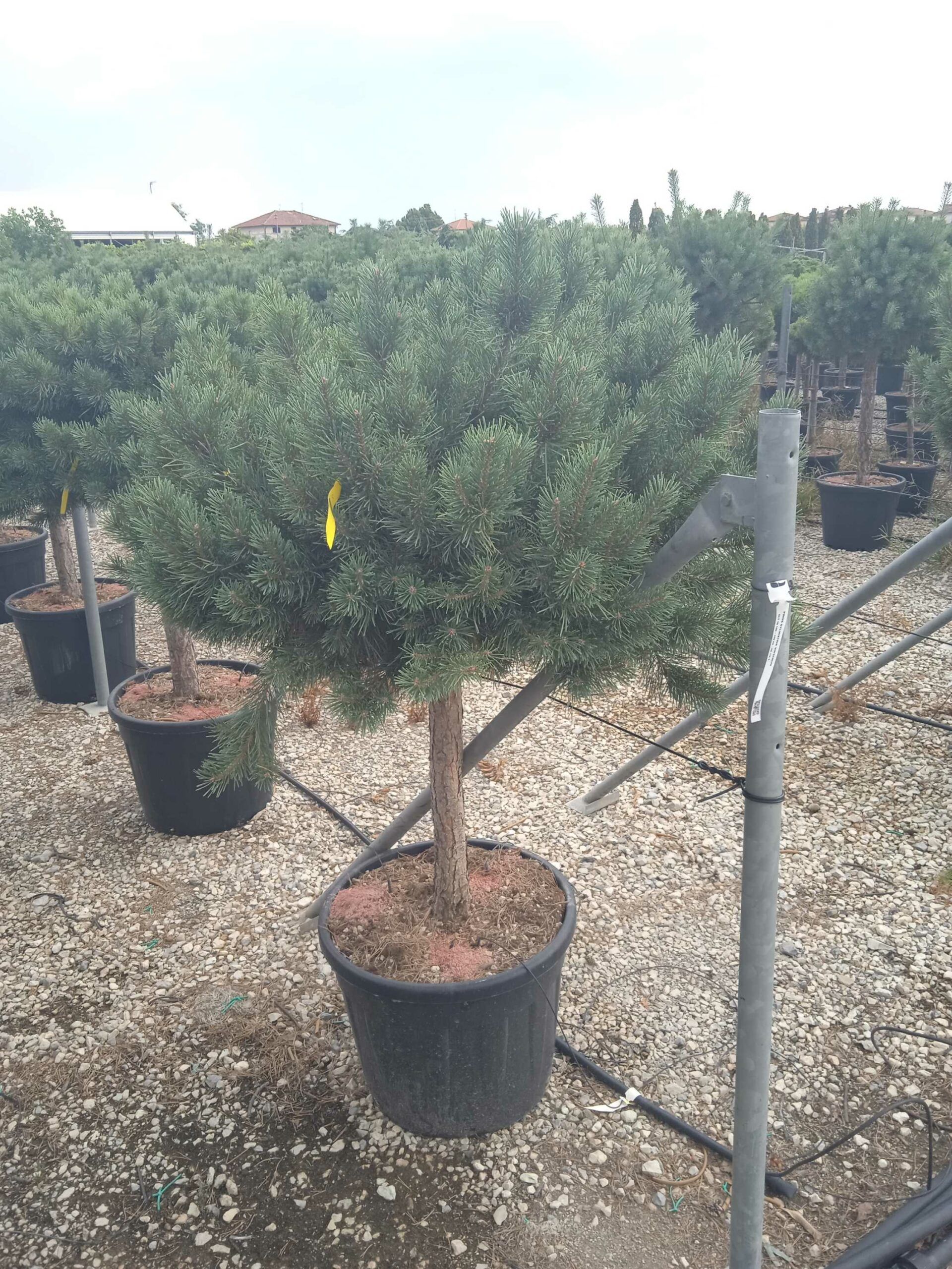 1661953719 scaled 4fb846c4