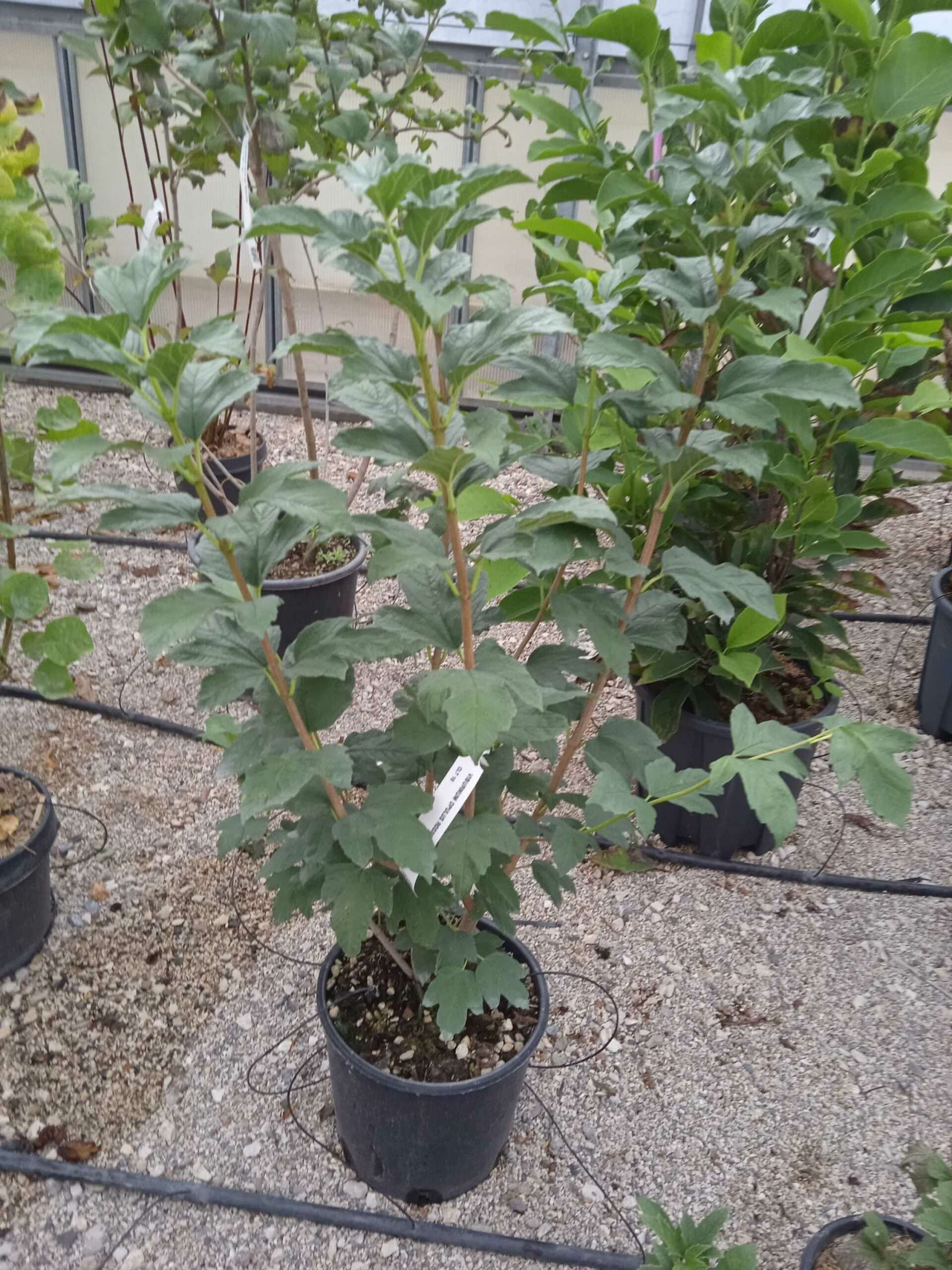 1662190162 scaled 4fd85d2e