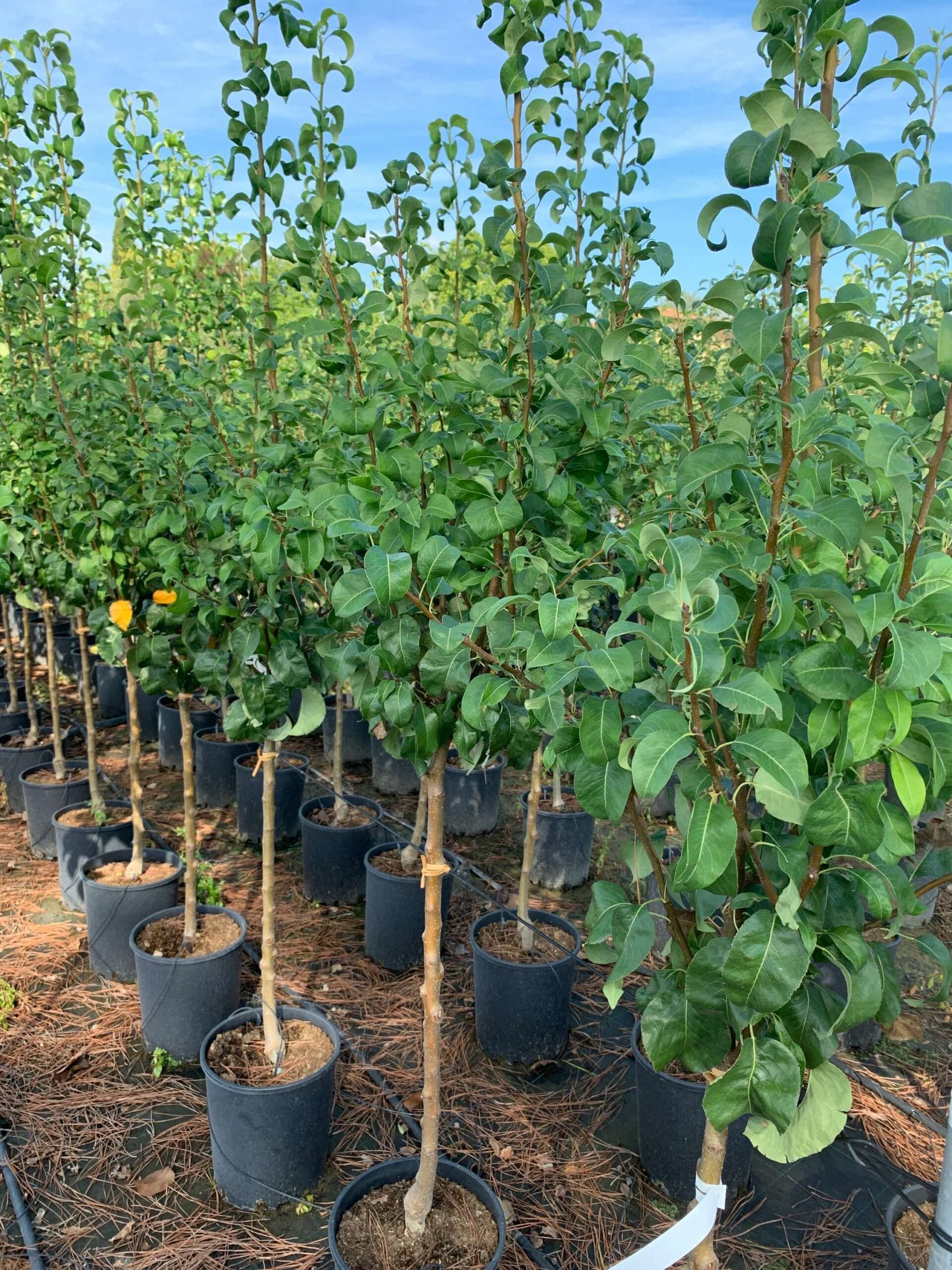 1662366691 scaled 4f8ab0b8