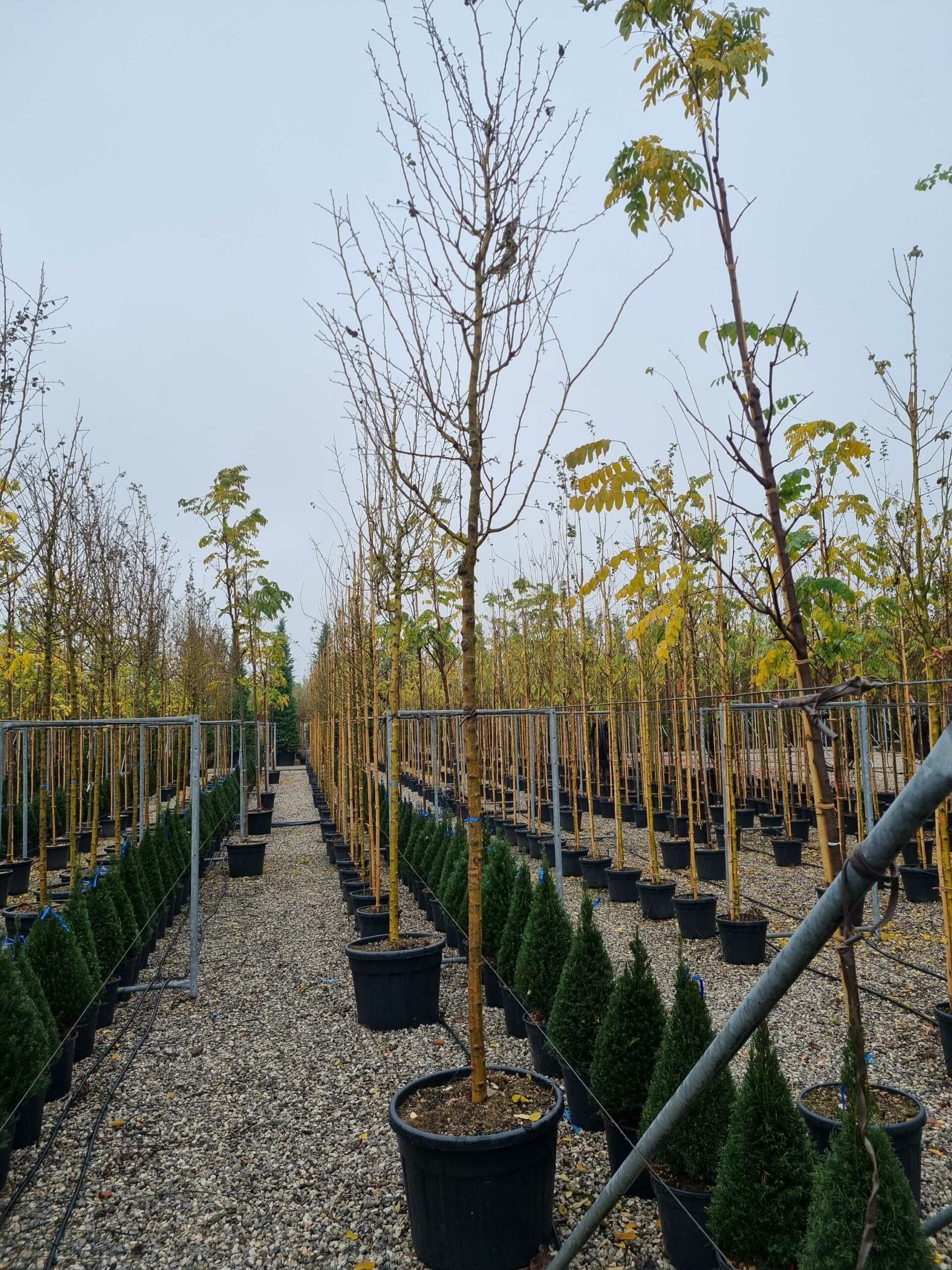 1668672715 scaled 4facd191