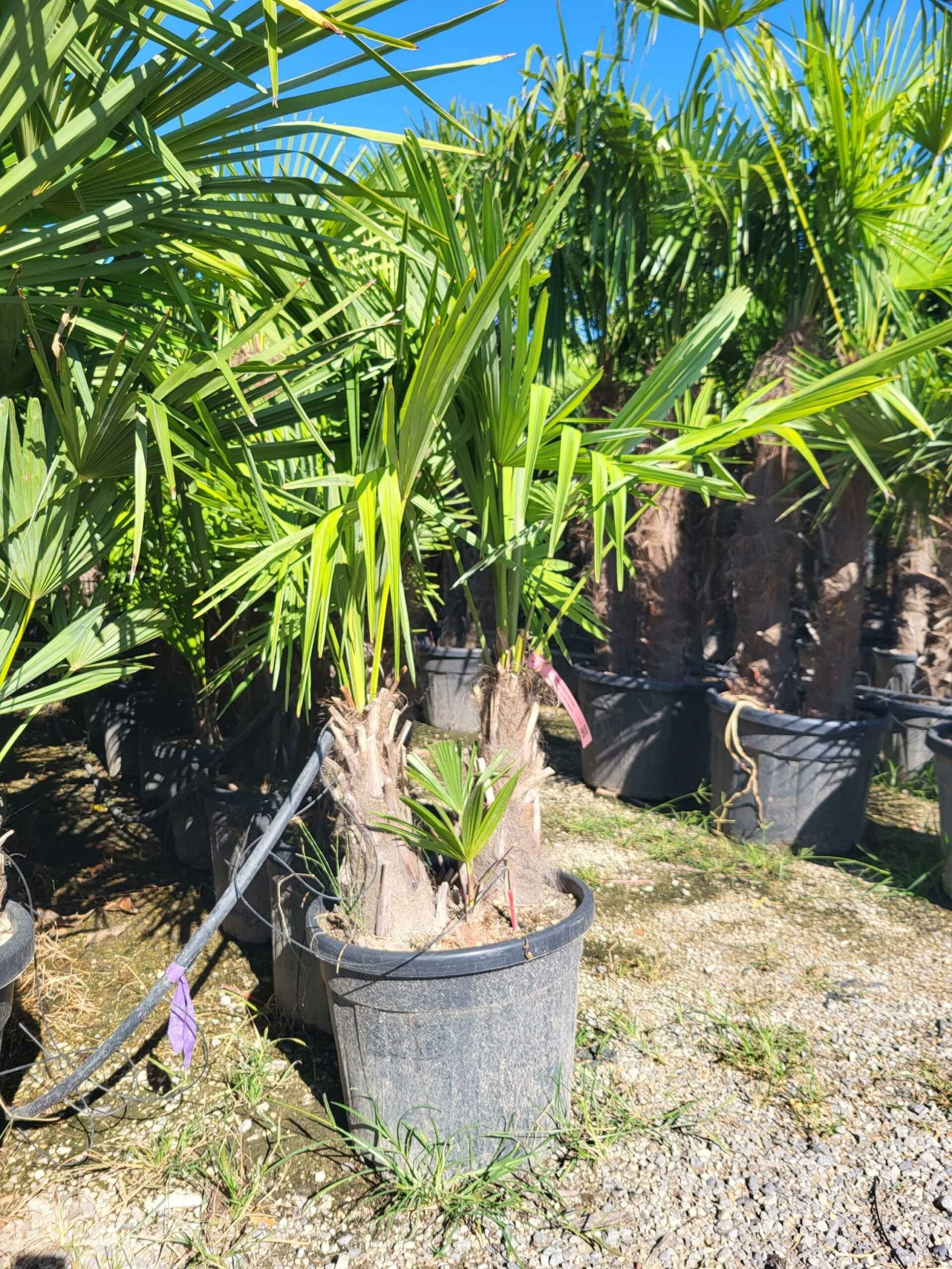 1691480713 scaled 4fb98974