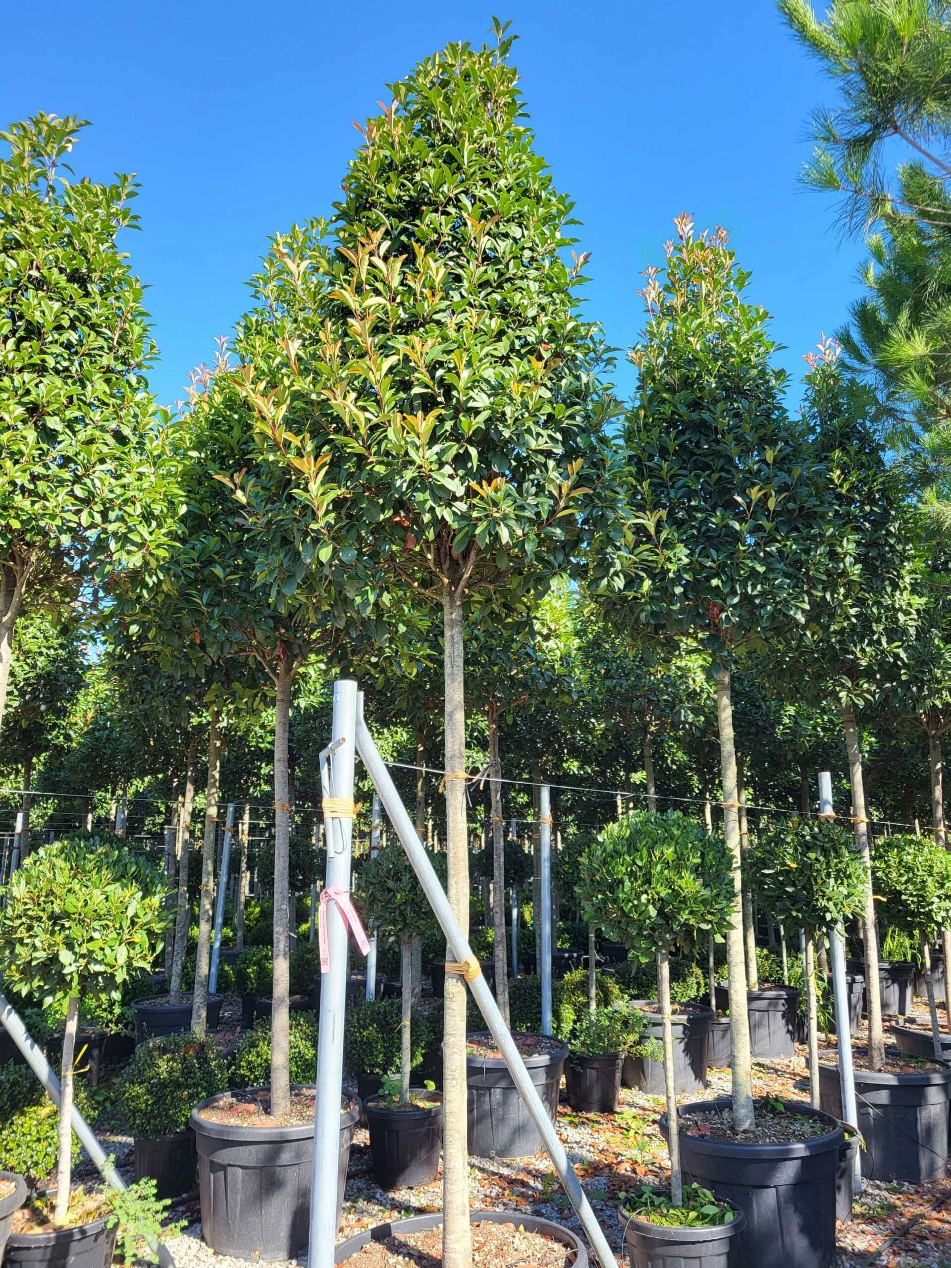 1691652563 scaled 4f602c79