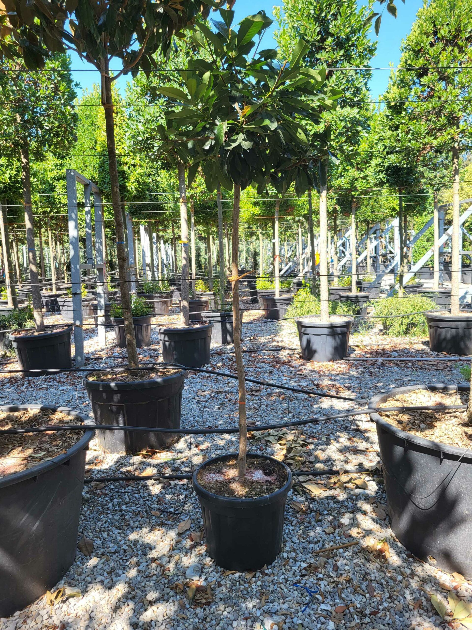 1692609129 scaled 4f8ba1bc