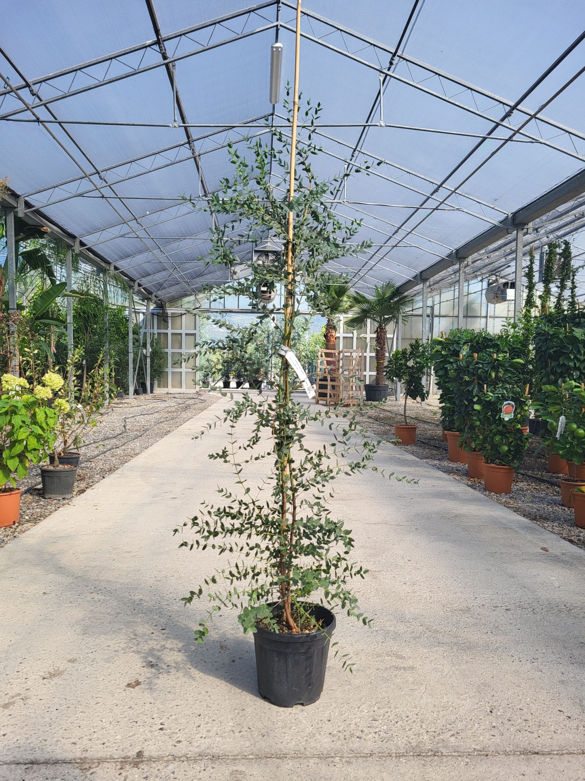 1696327315 scaled 4f9959b1