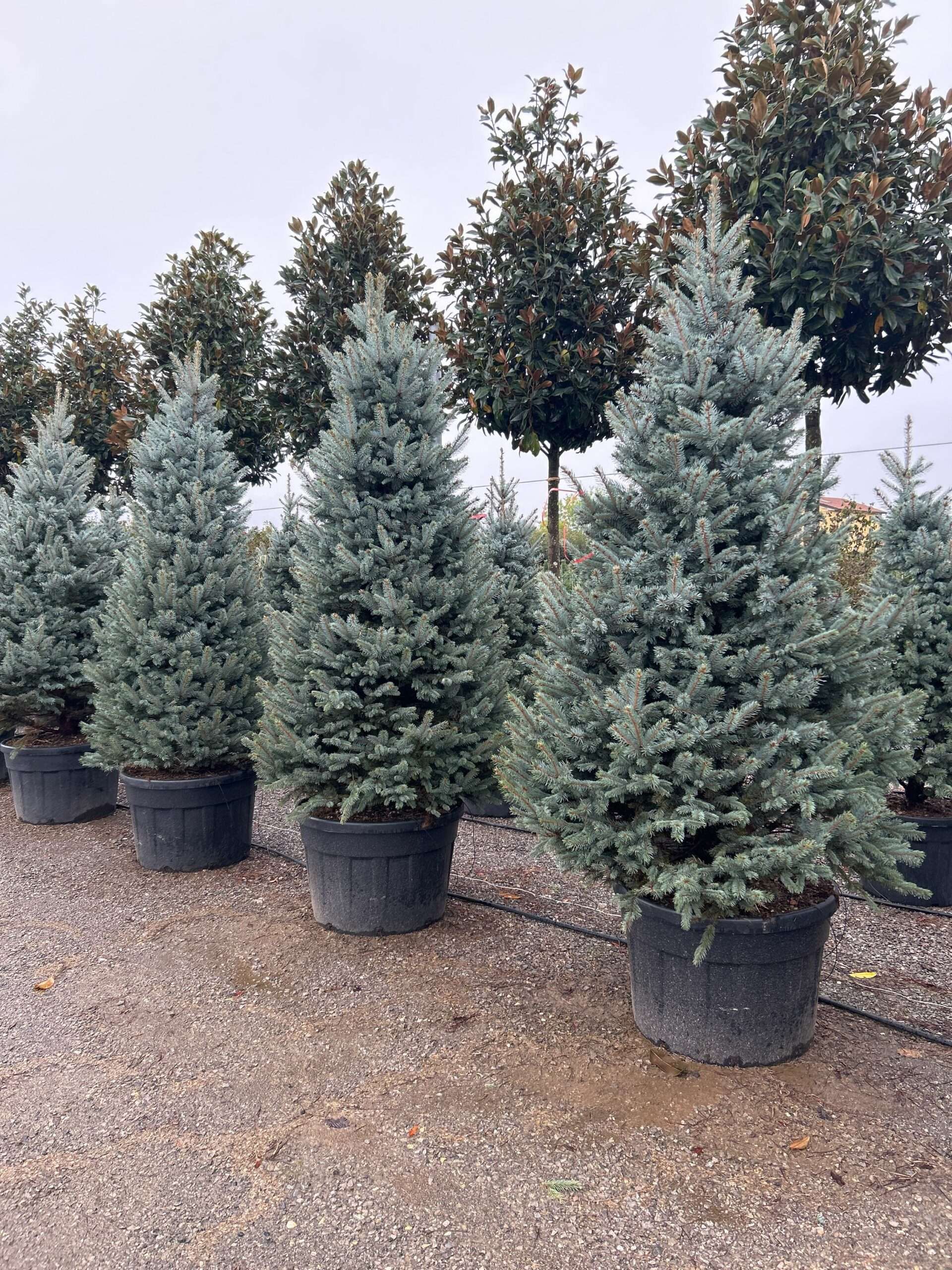 1698156119 scaled 4f311aec