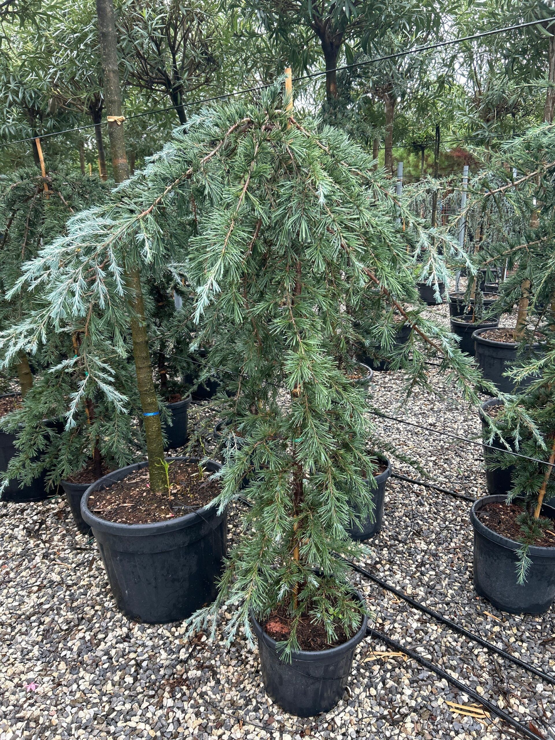 1698157577 scaled 4f09946b