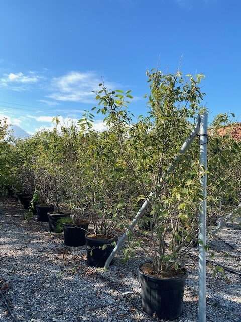 1608570247 rotated 50e1d19b