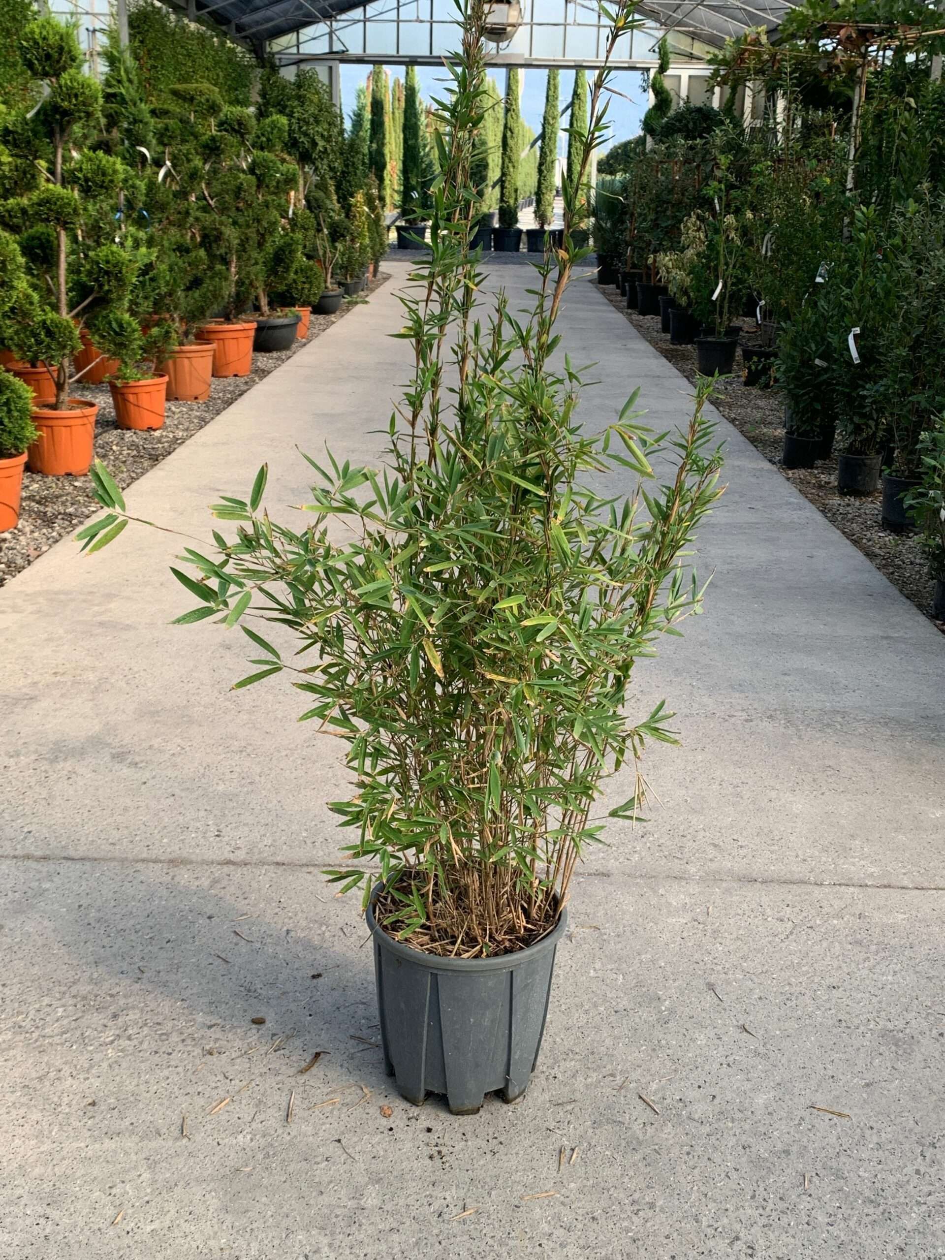 1634976119 scaled 50fa126b