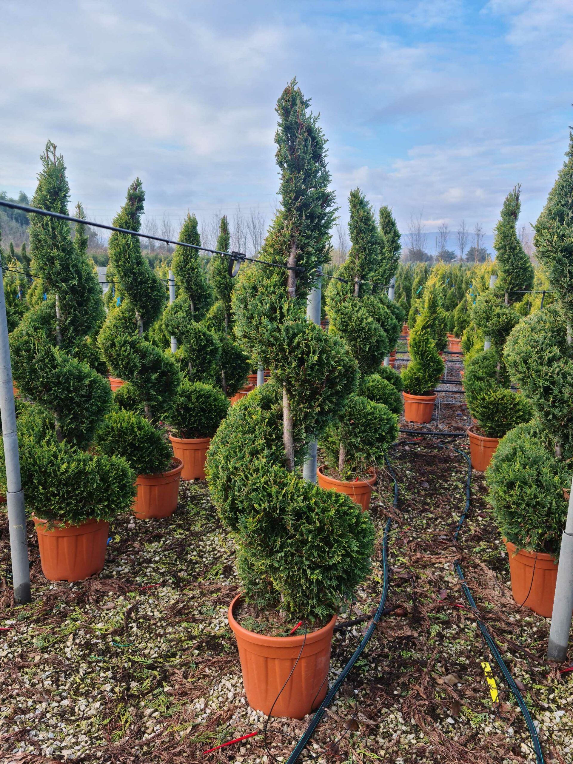 1640165095 scaled 50767e89