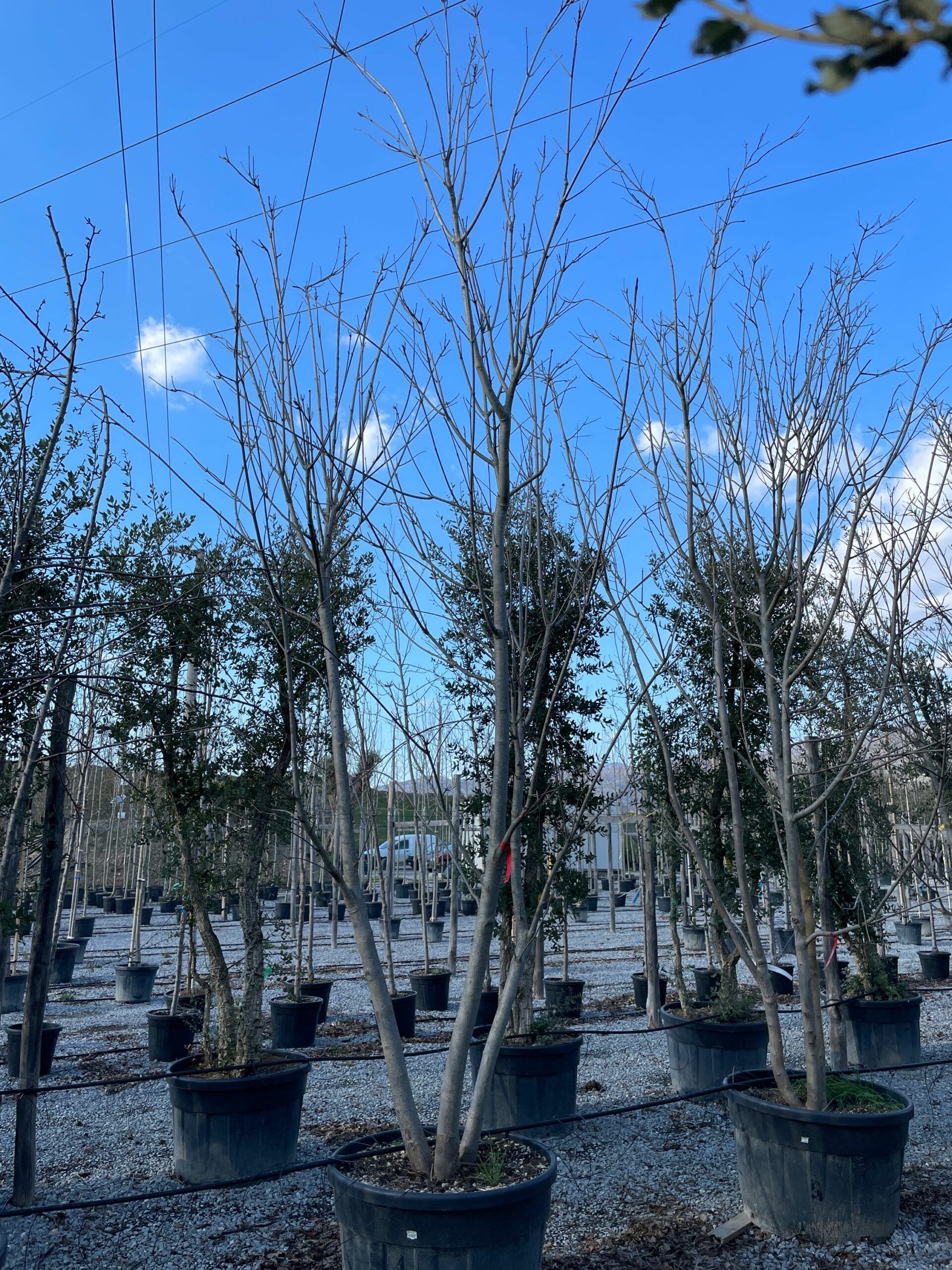 1644241426 scaled 502f4cb3