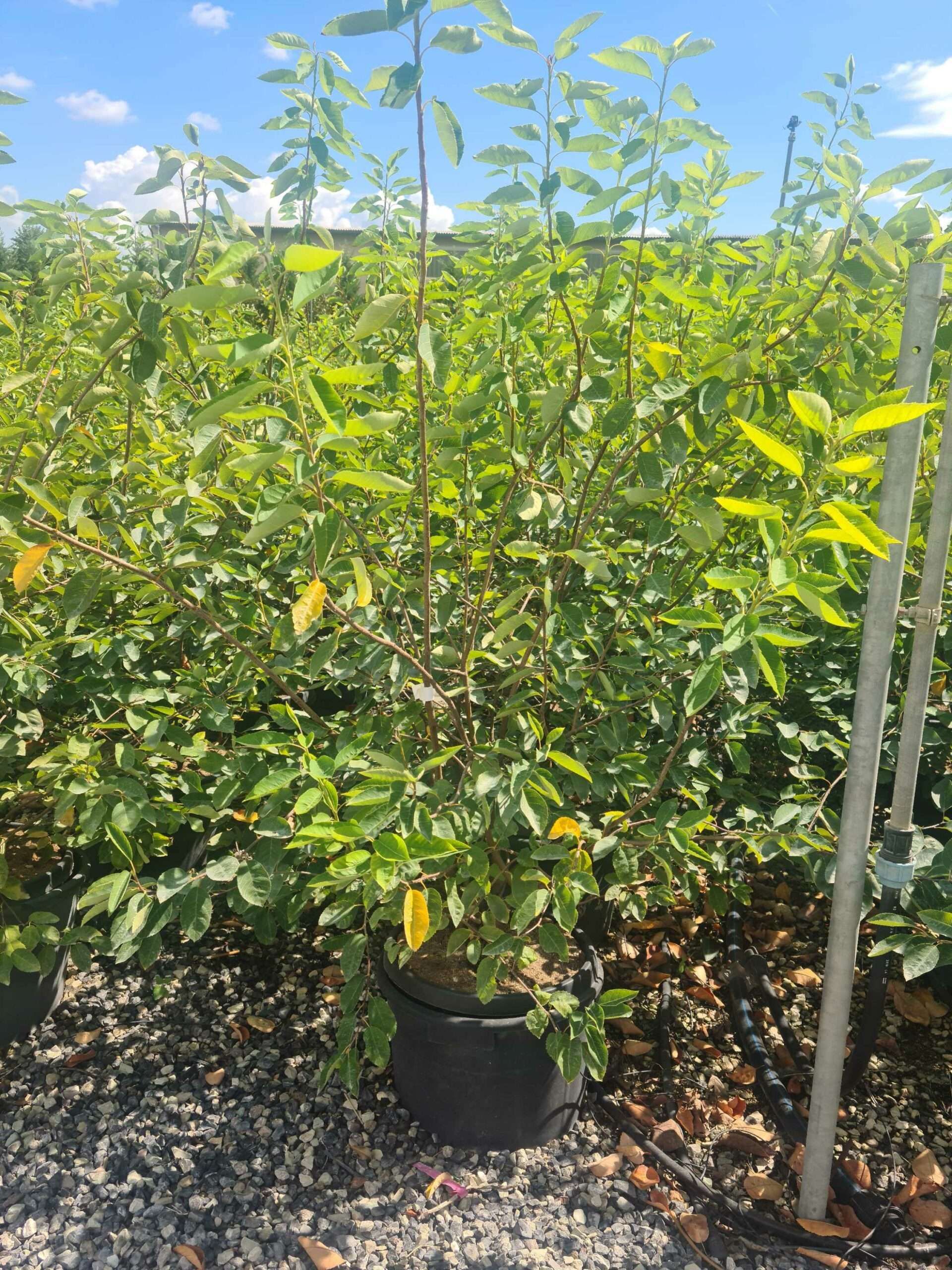 1661940702 scaled 50c78027