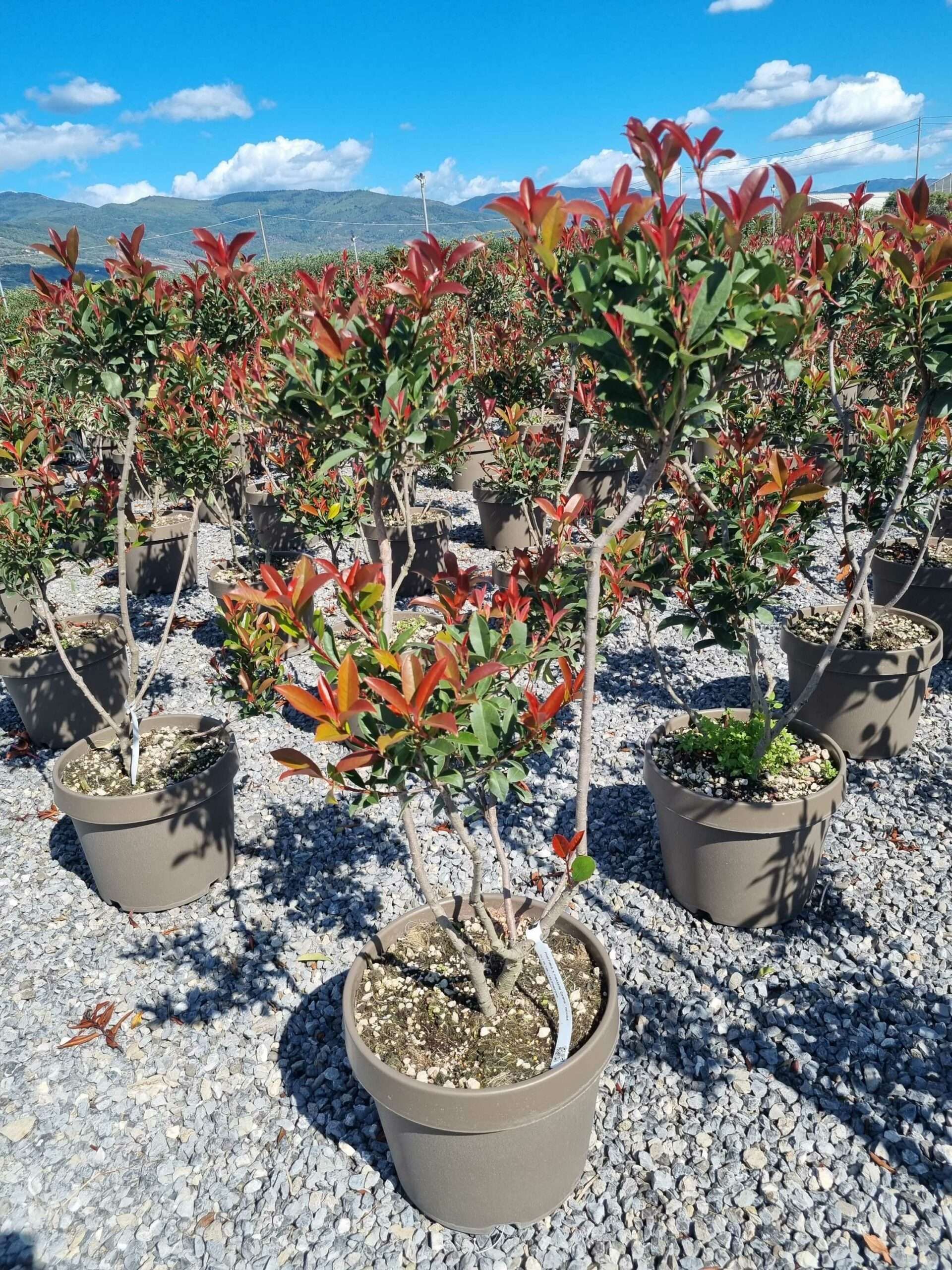 1663762401 scaled 50f90267