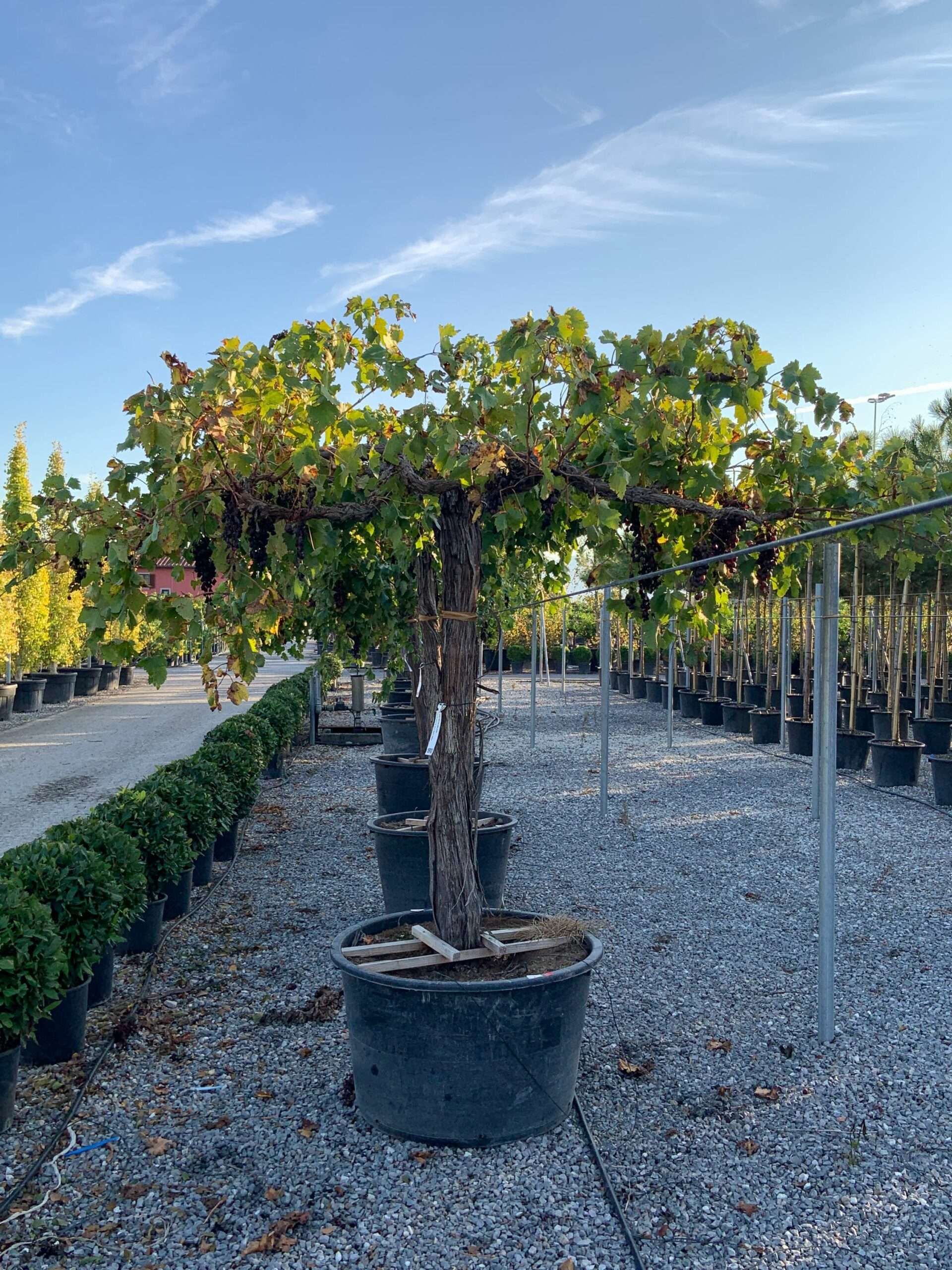 1666019715 scaled 508bec37