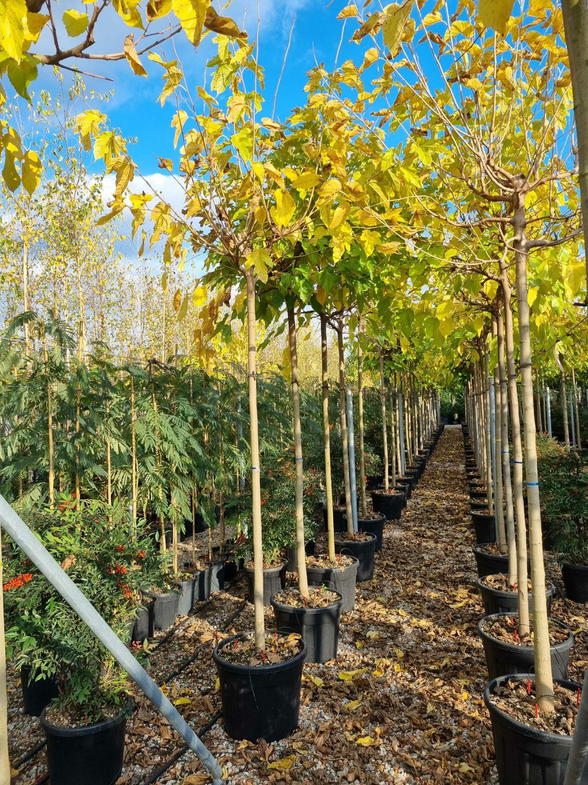 1668433921 scaled 5024cb7f