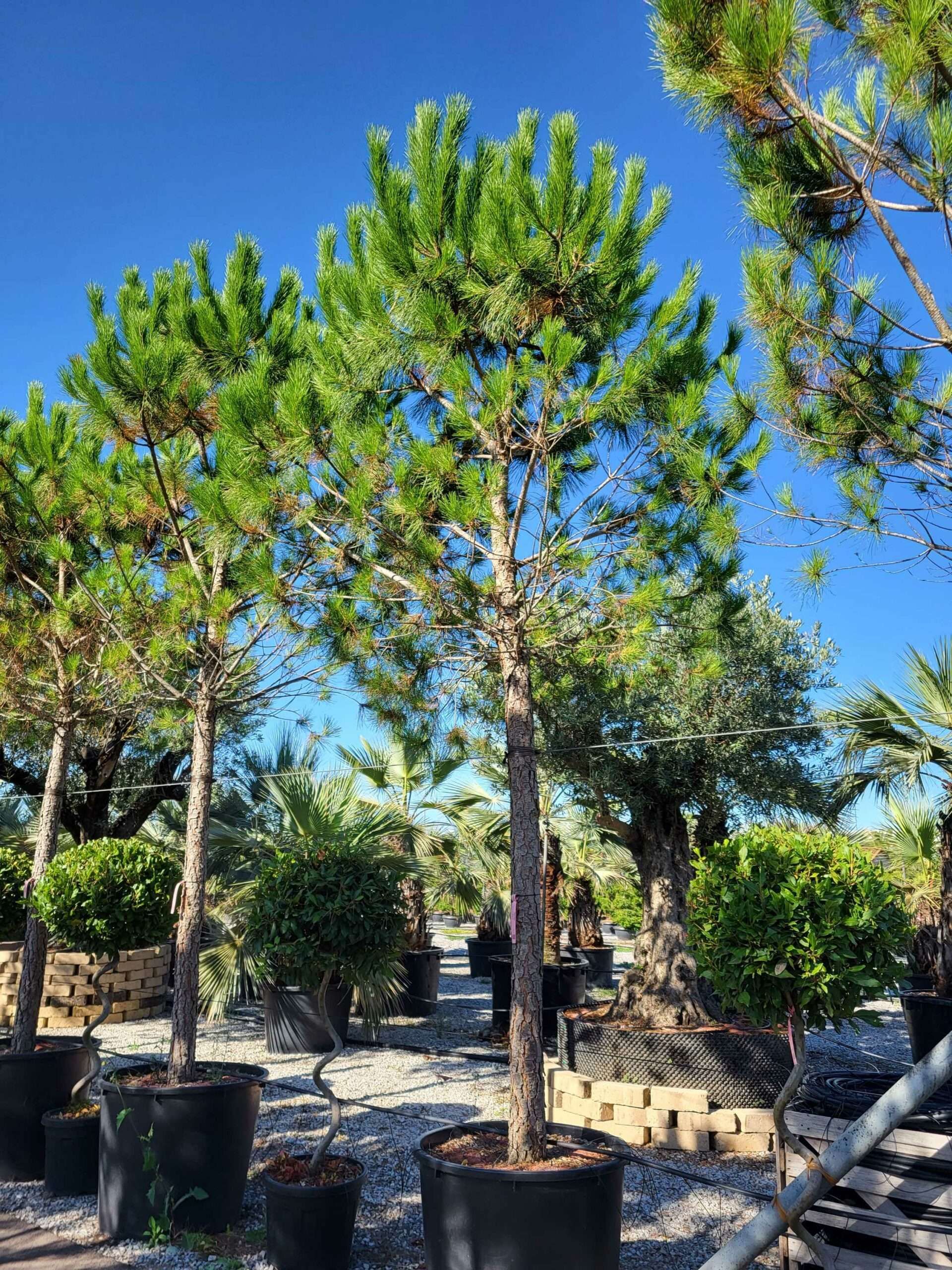 1691652388 scaled 505d7f2d