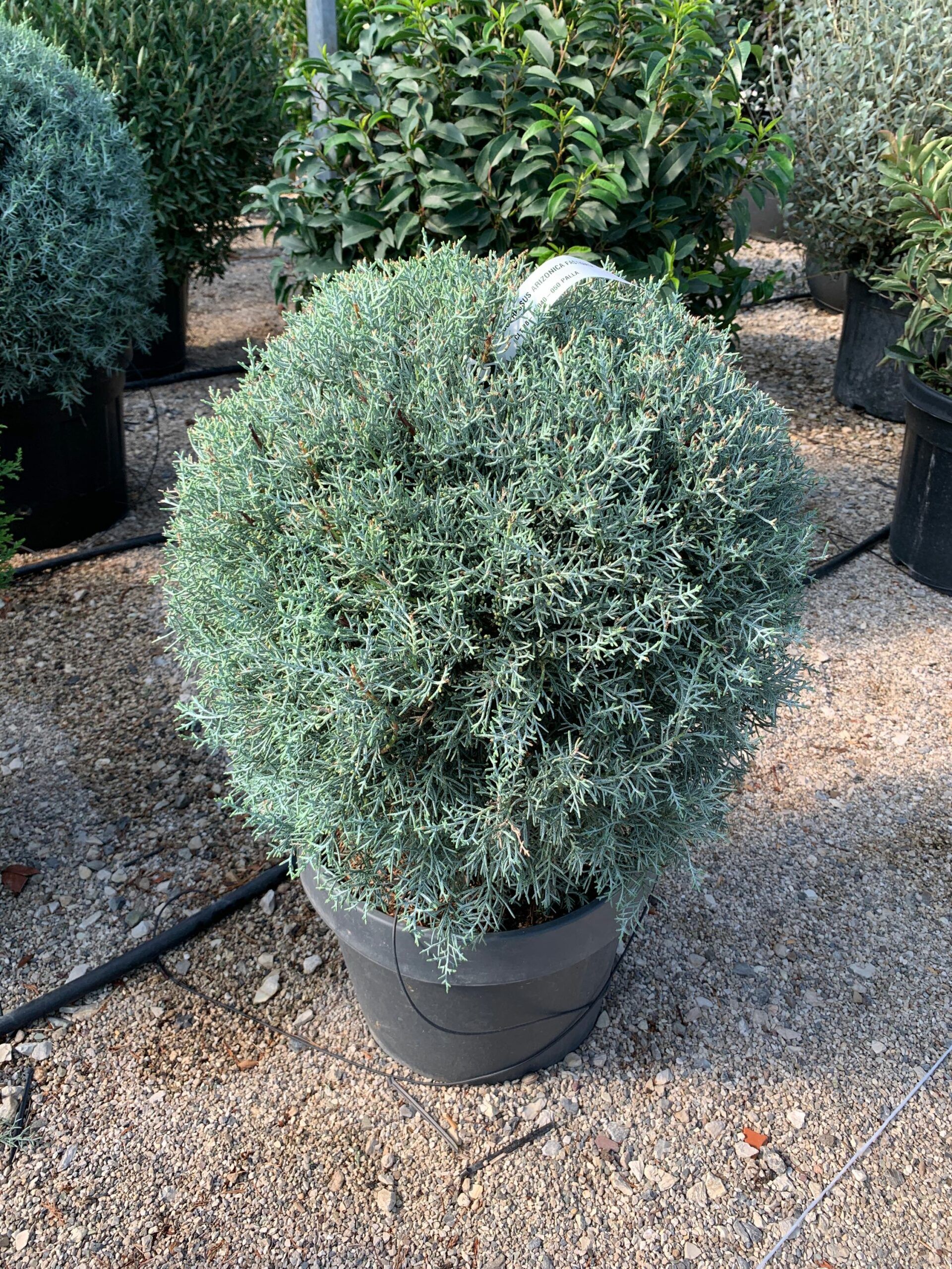 1632834437 scaled 51fbe83b