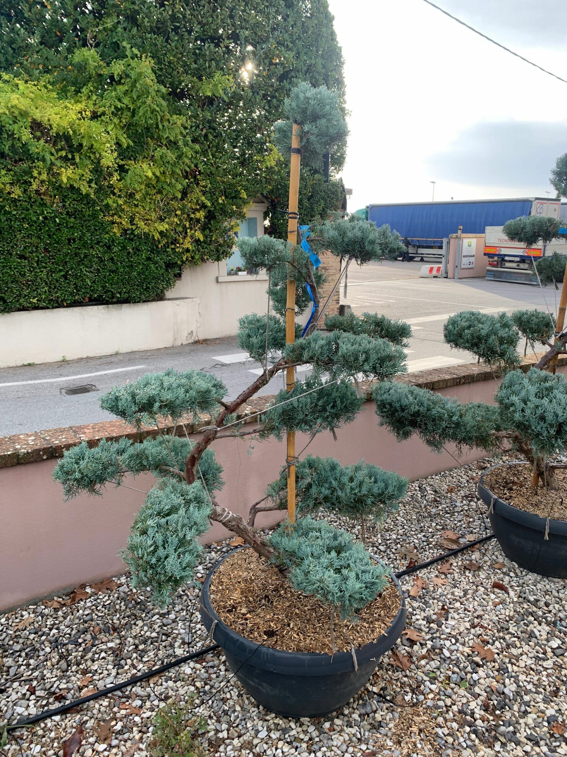 1636097693 scaled 5118c57e