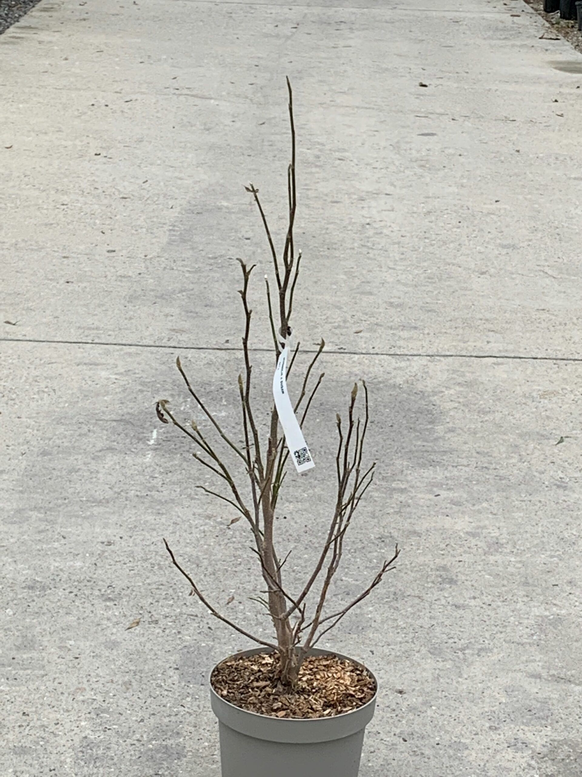 1640095343 scaled 51c144ae