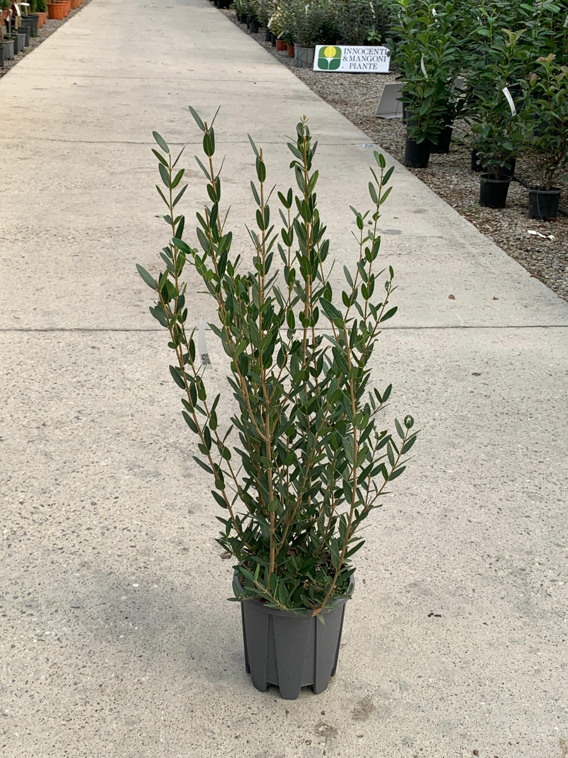 1635148690 scaled 5252cb12