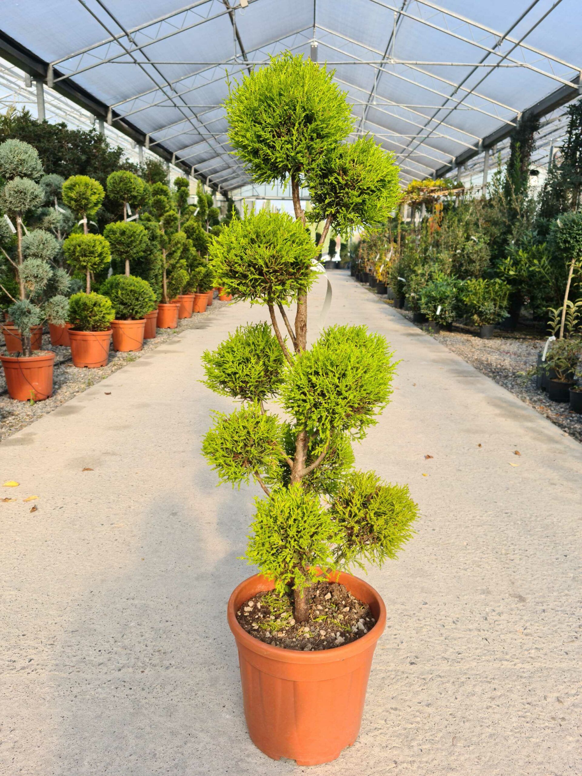 1639479412 scaled 529dc751