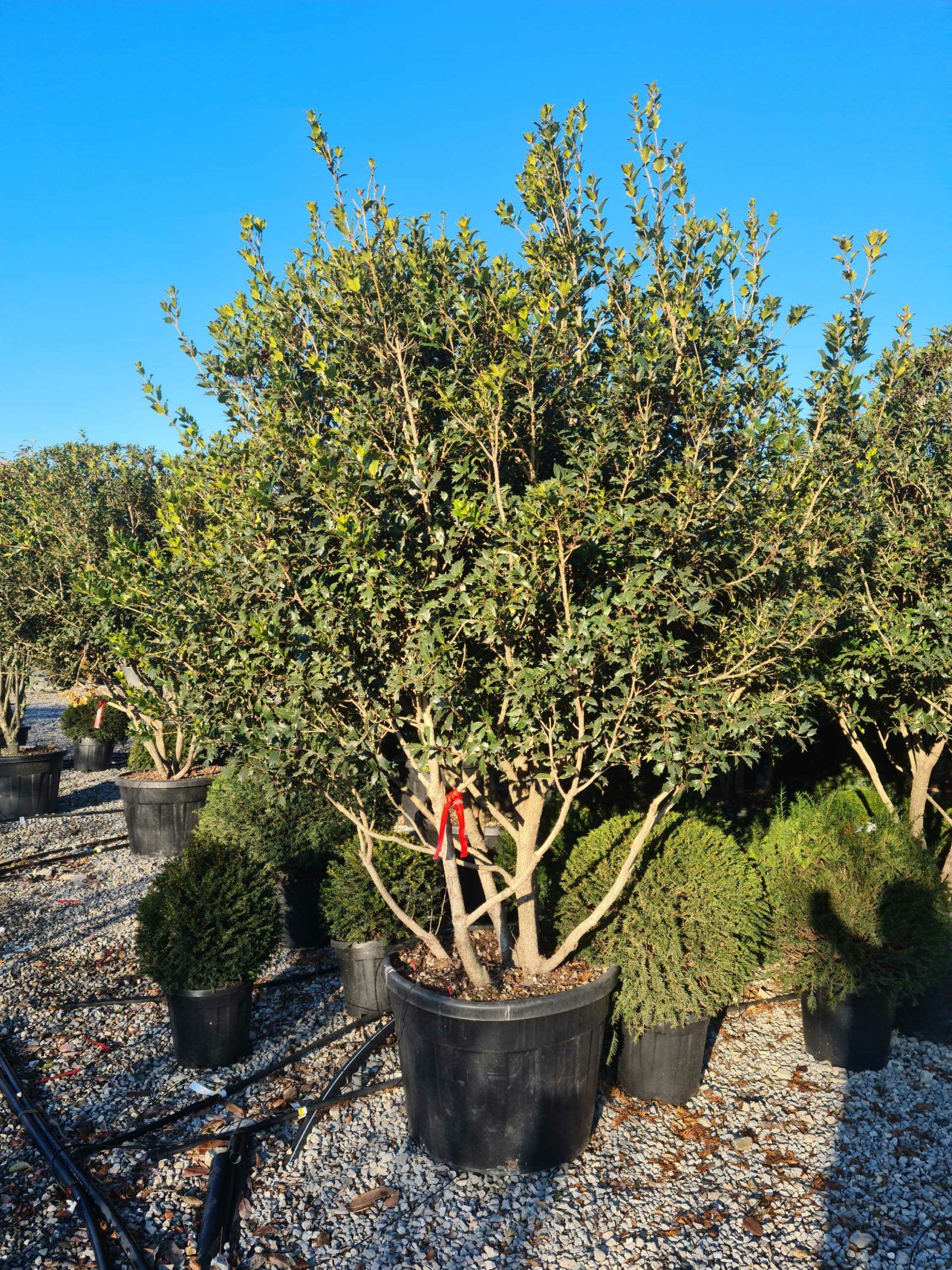 1639816366 scaled 528ffb31