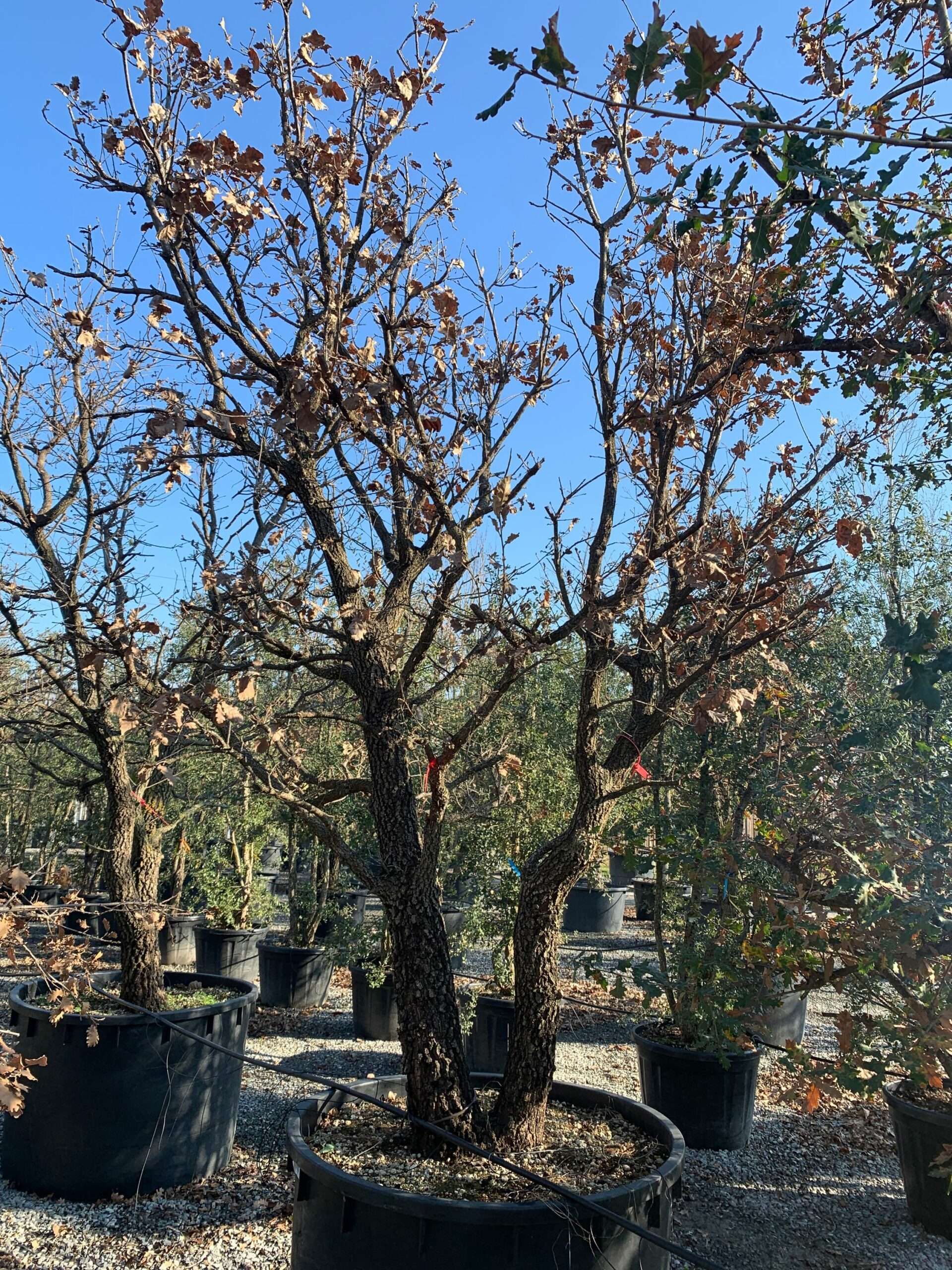 1642500641 scaled 529d97c3