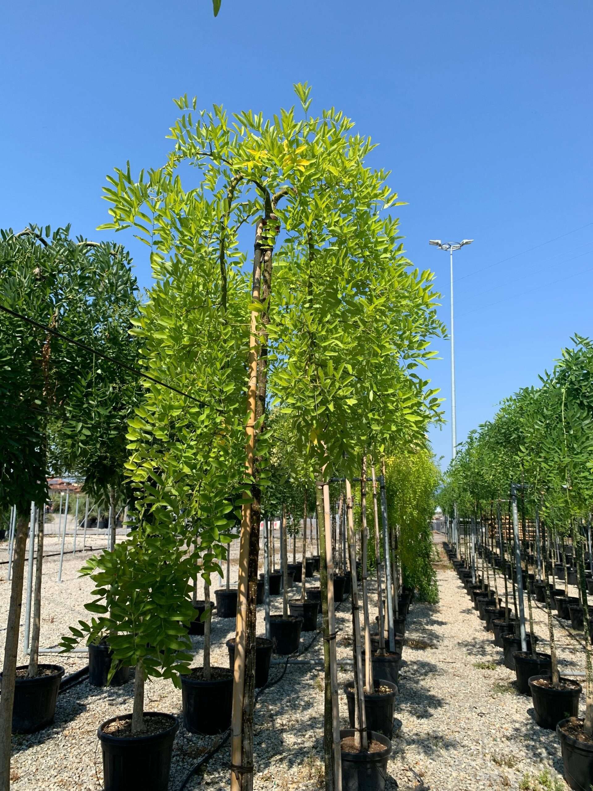 1658132533 scaled 52951c35