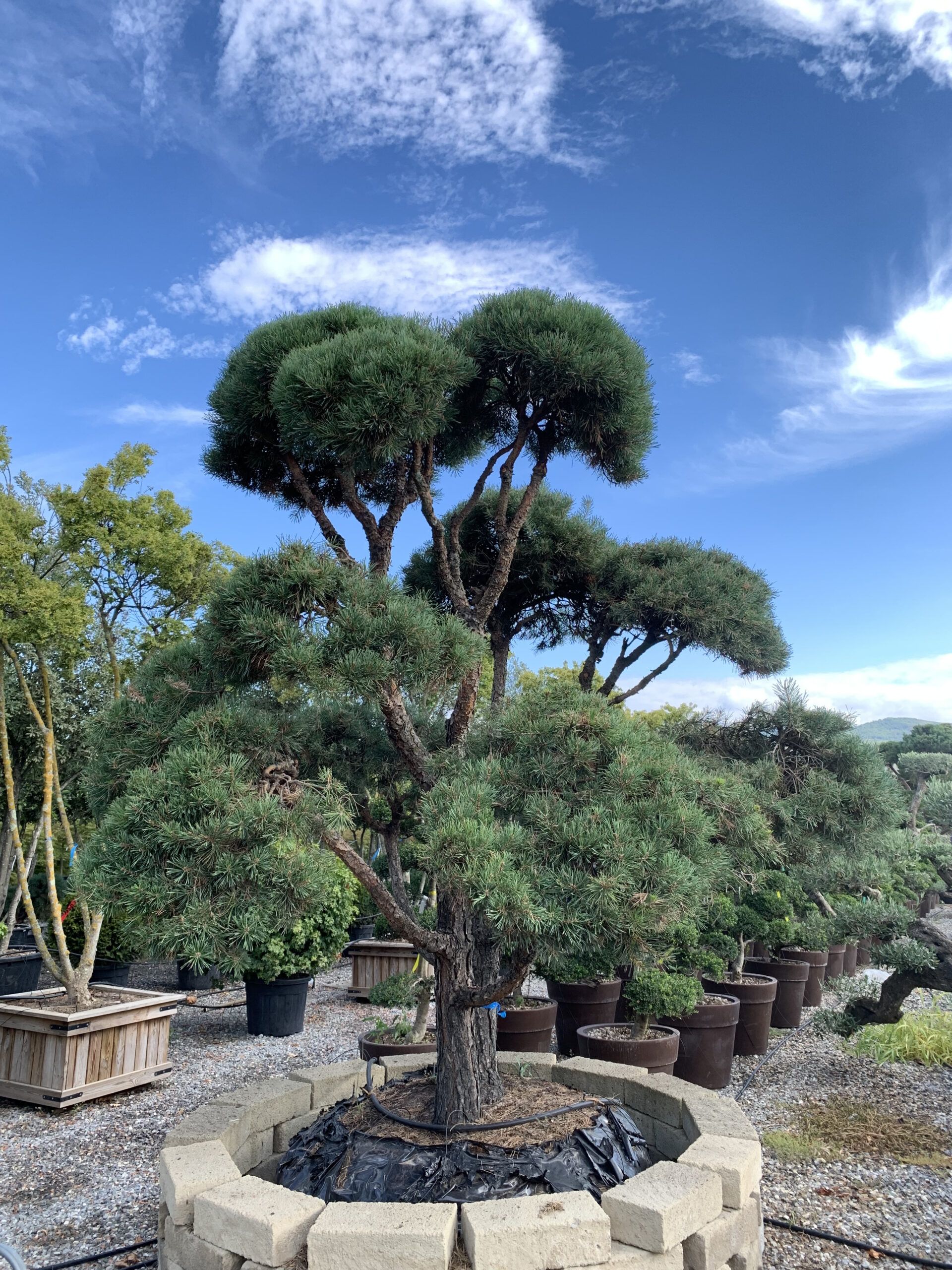 1660232158 scaled 52bfba2c