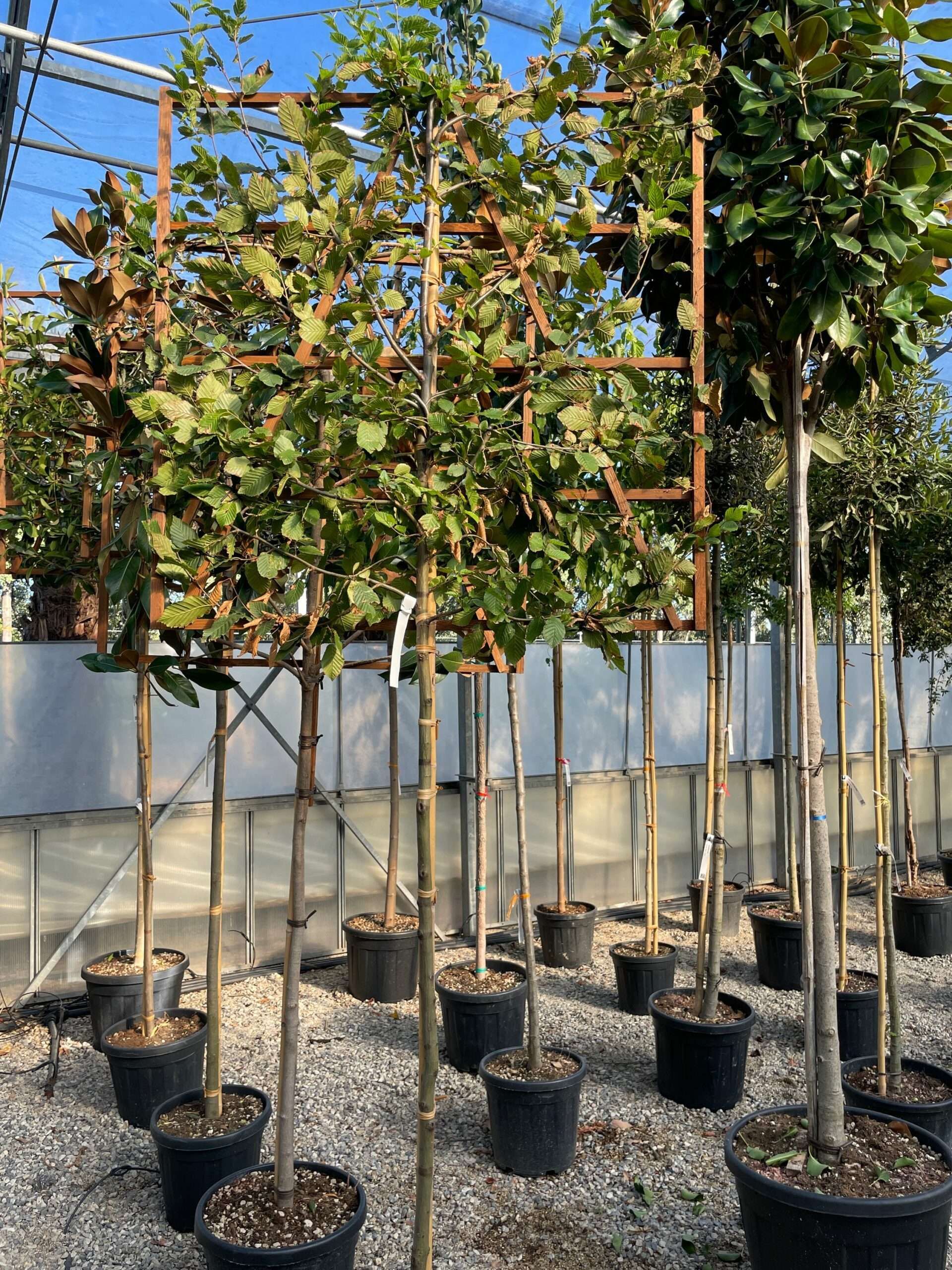 1661356147 1 scaled 52e05a8a