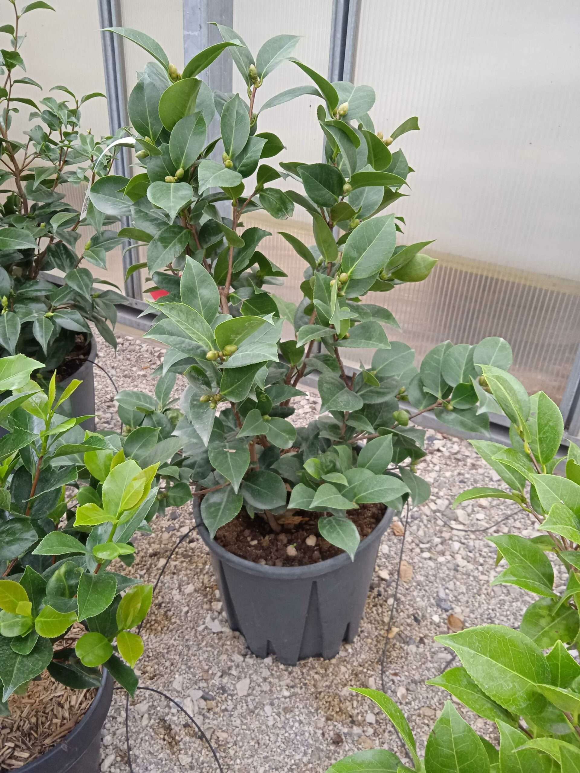 1662188909 scaled 5288220b