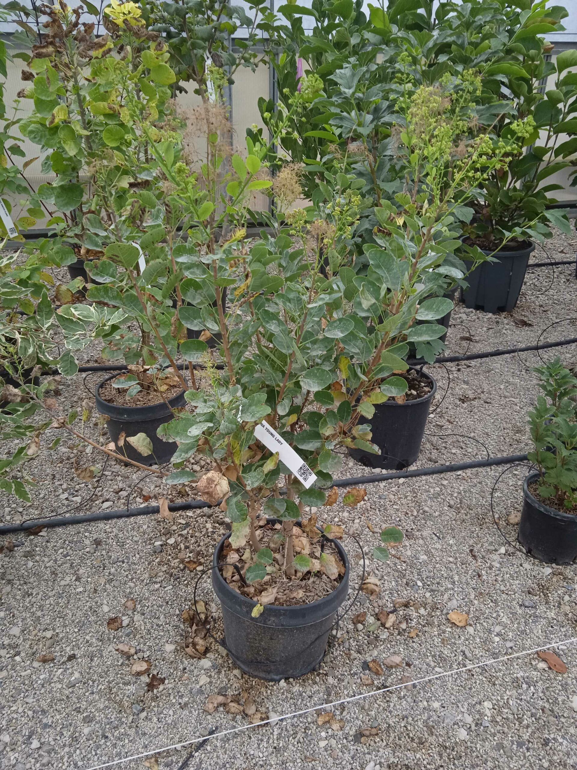 1662190182 scaled 525e37c6