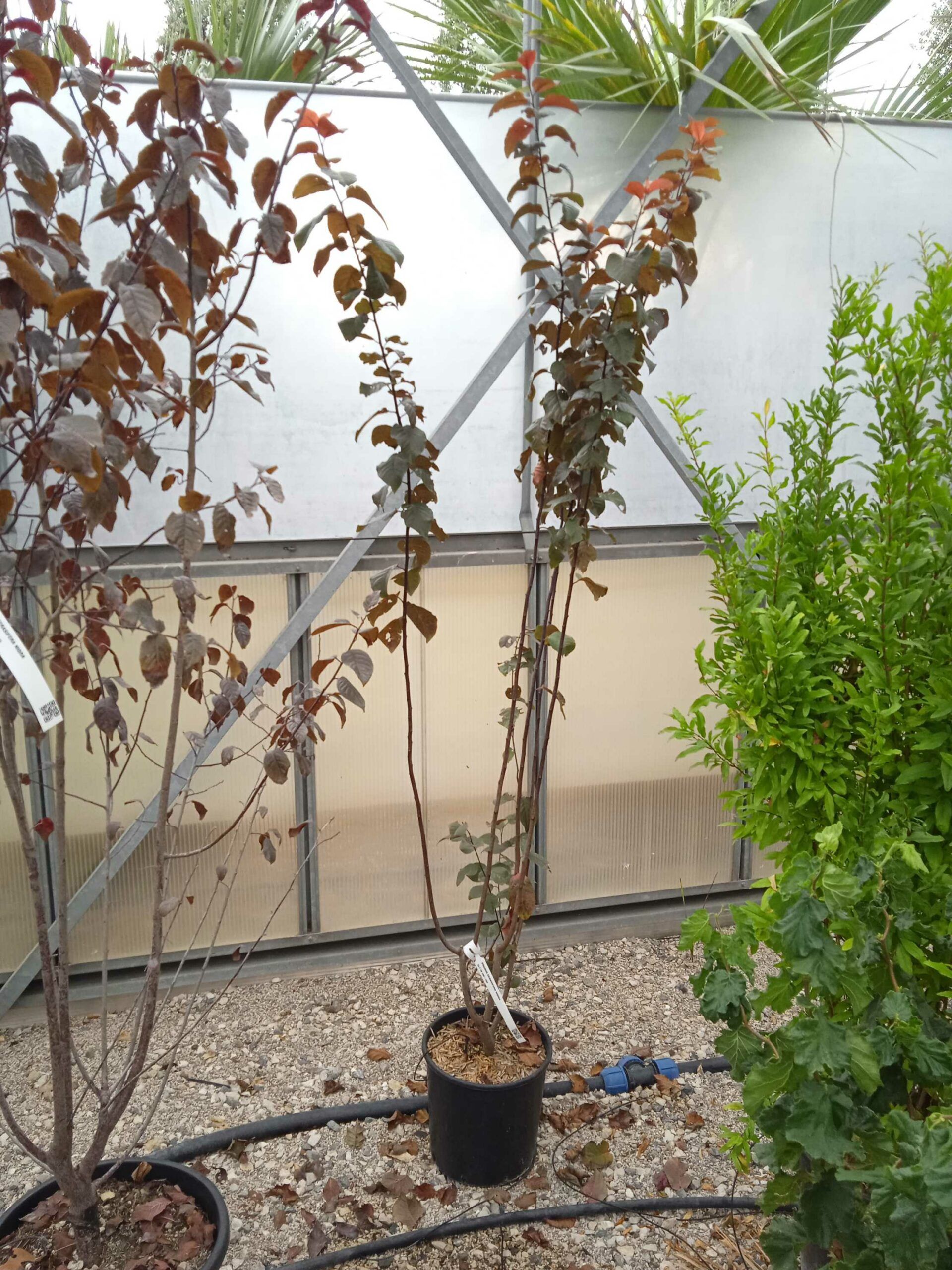 1662191019 scaled 52e7a54a