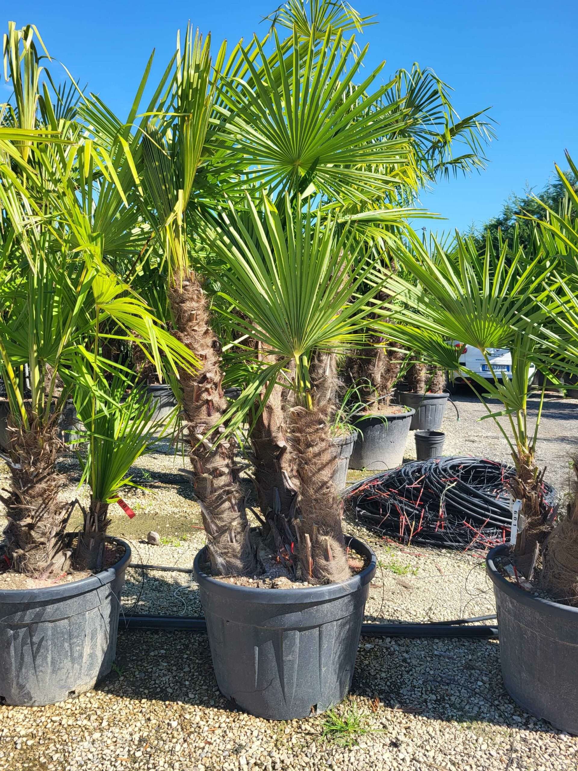 1691482507 scaled 52212a21