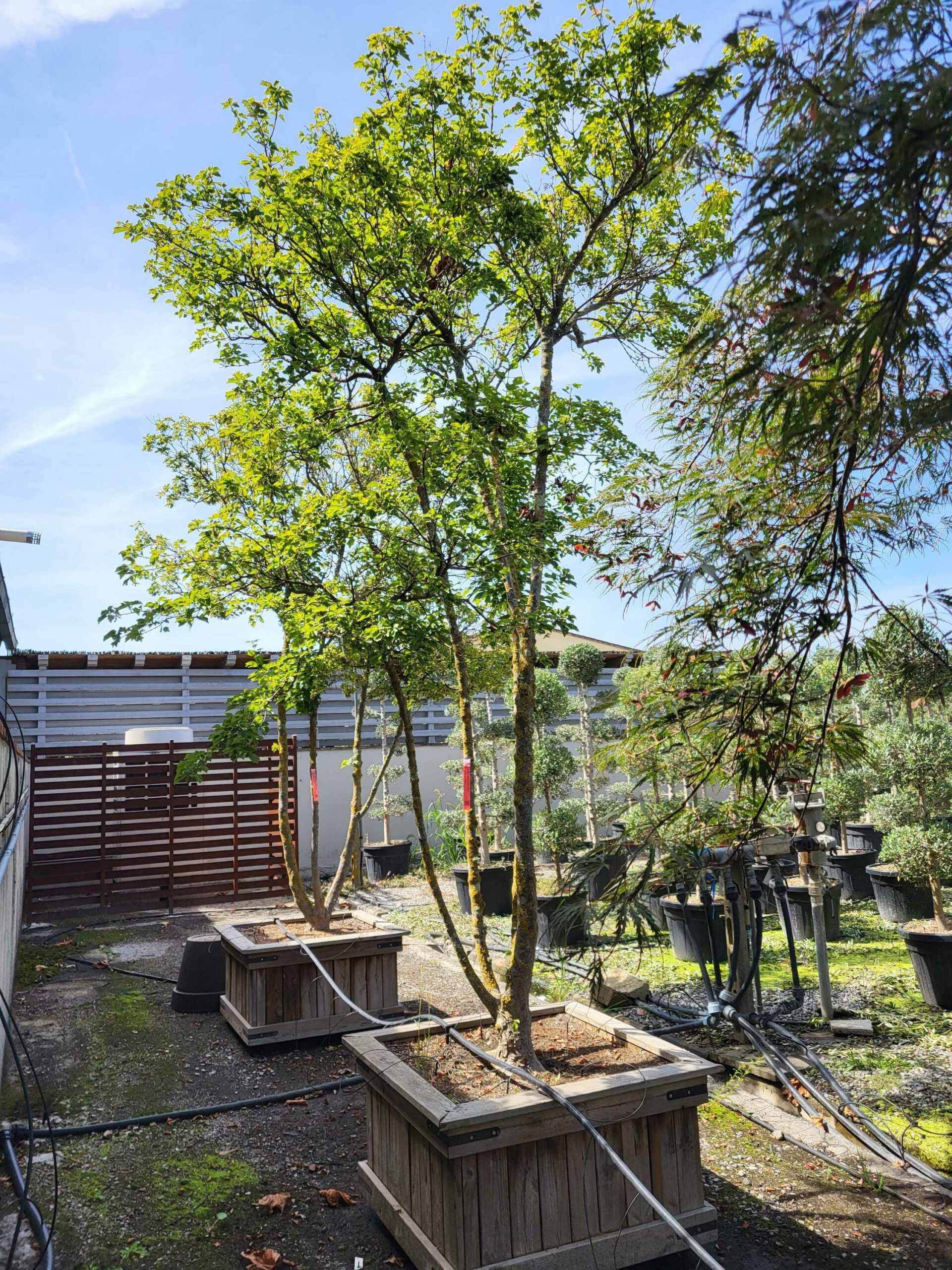 1691586026 scaled 52492306