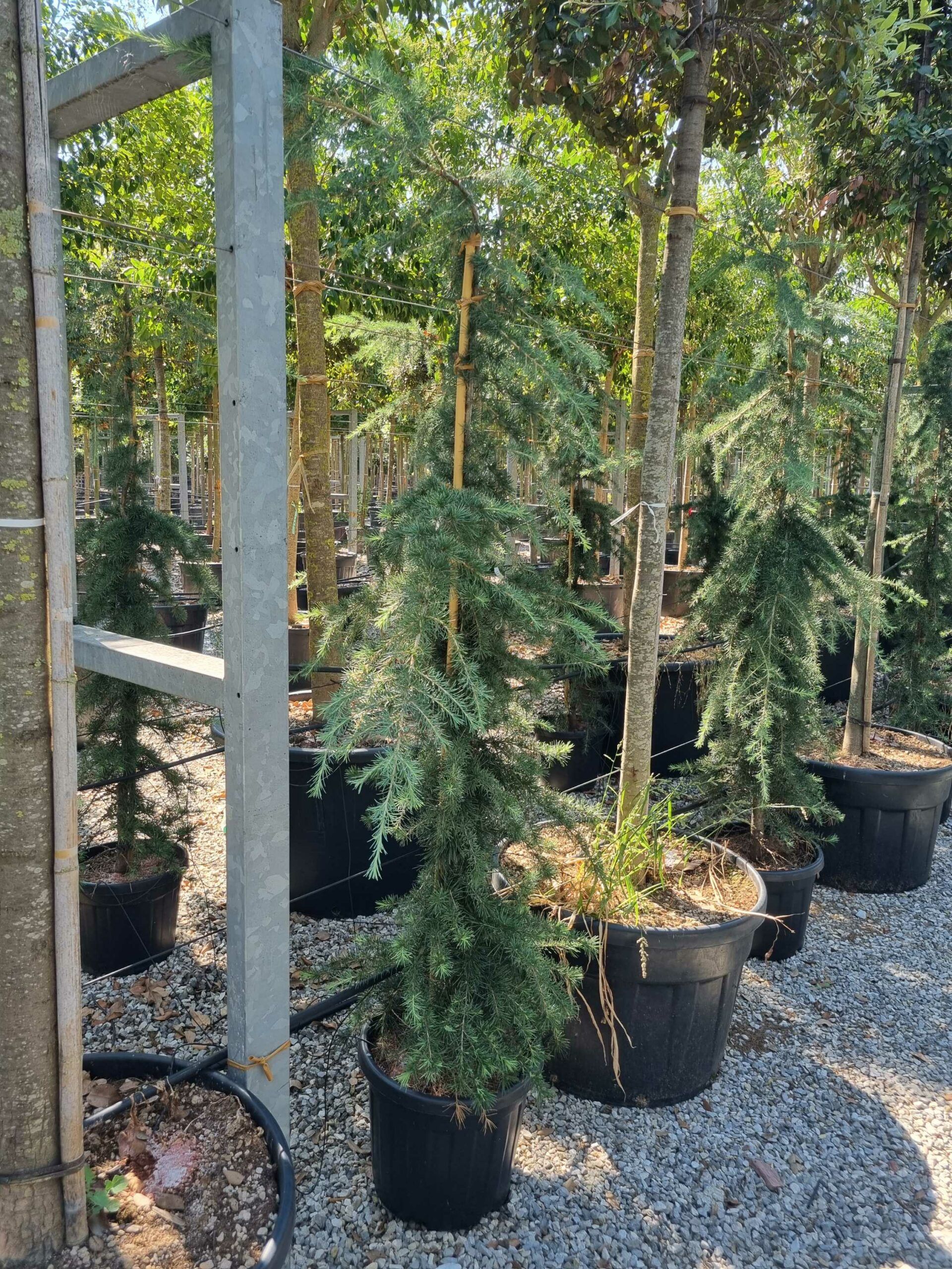 1692607567 scaled 52bf2674