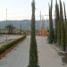 1610962939 Cupressus Semp. Pyramidalis c45 200 250 53fd5eed