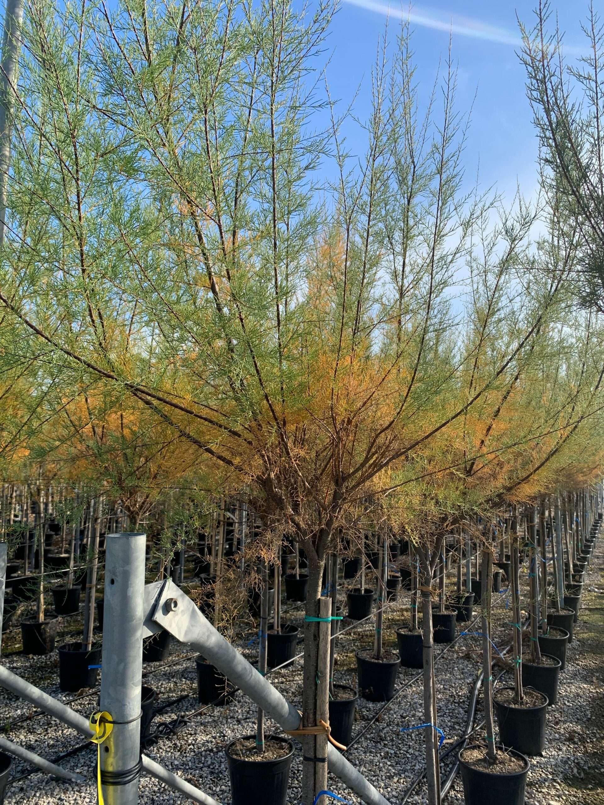 1635429103 scaled 530d900f