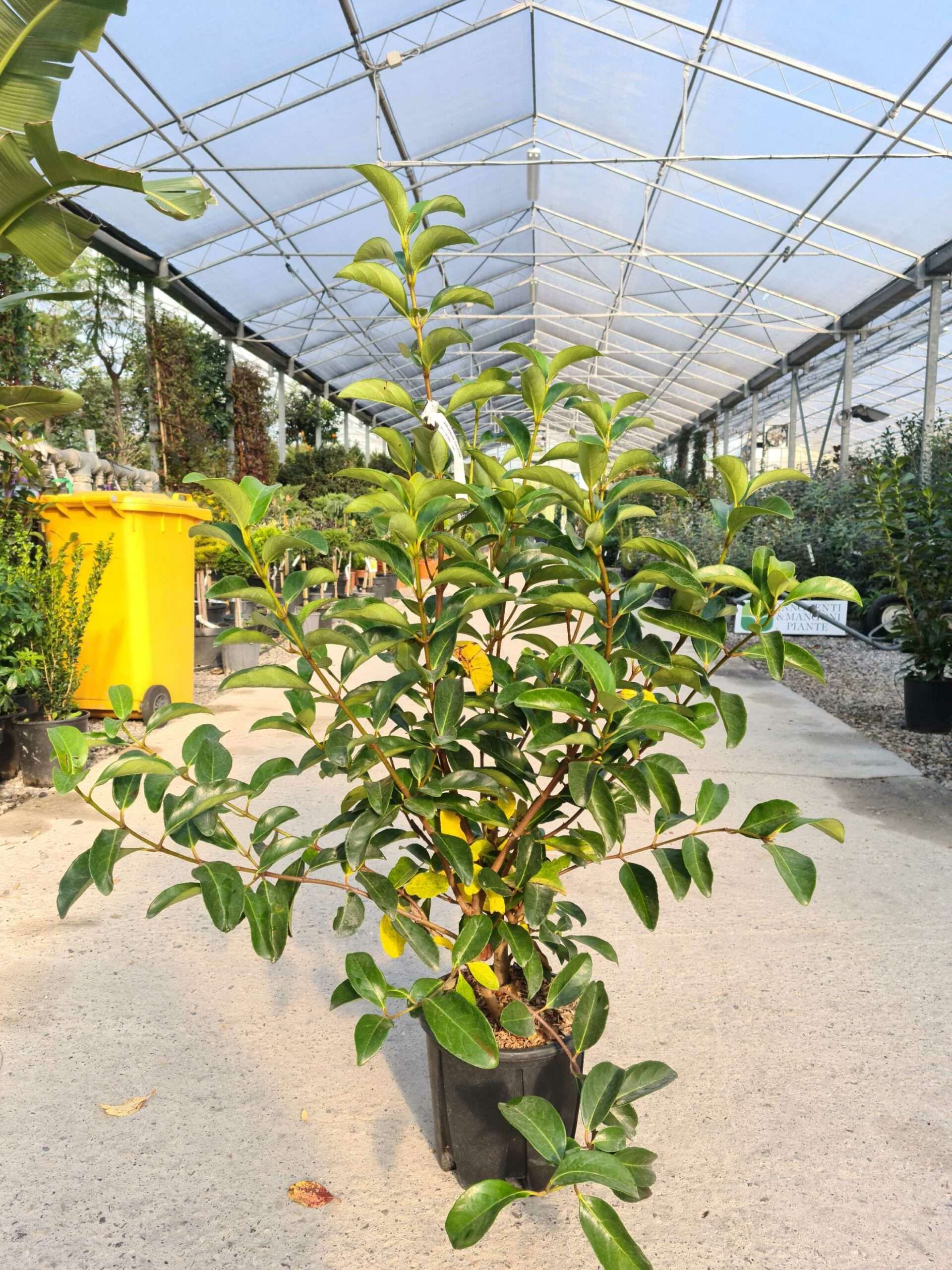 1639477183 scaled 53cc6d66