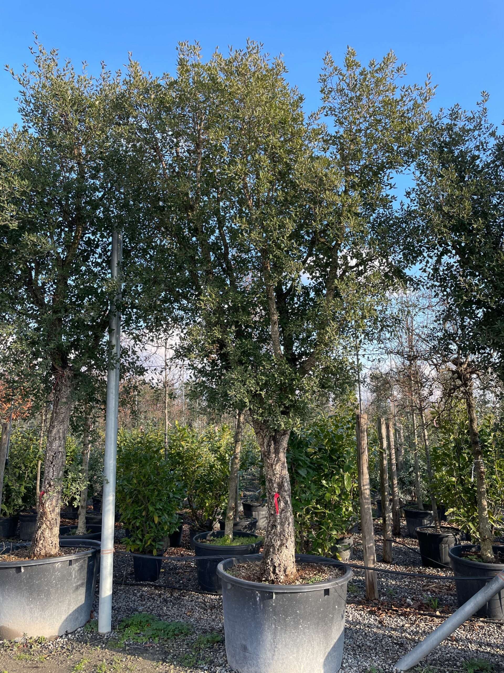 1642687137 scaled 53dde2d1