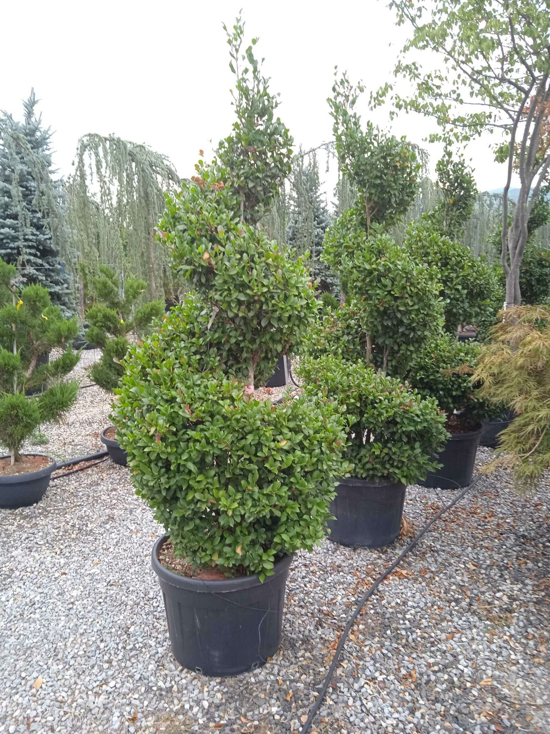 1662186329 scaled 533a8ffd