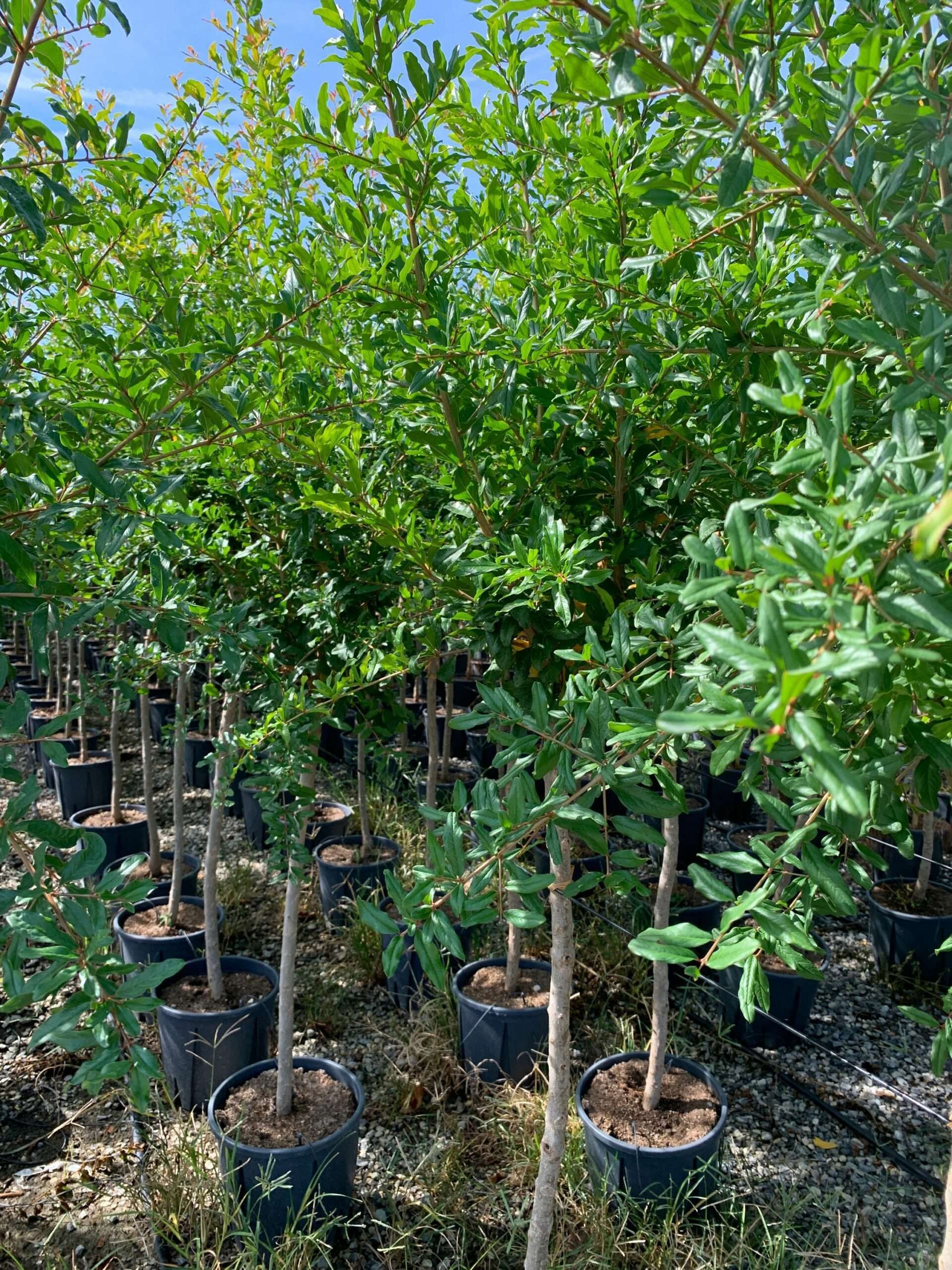 1662368748 scaled 535c3501