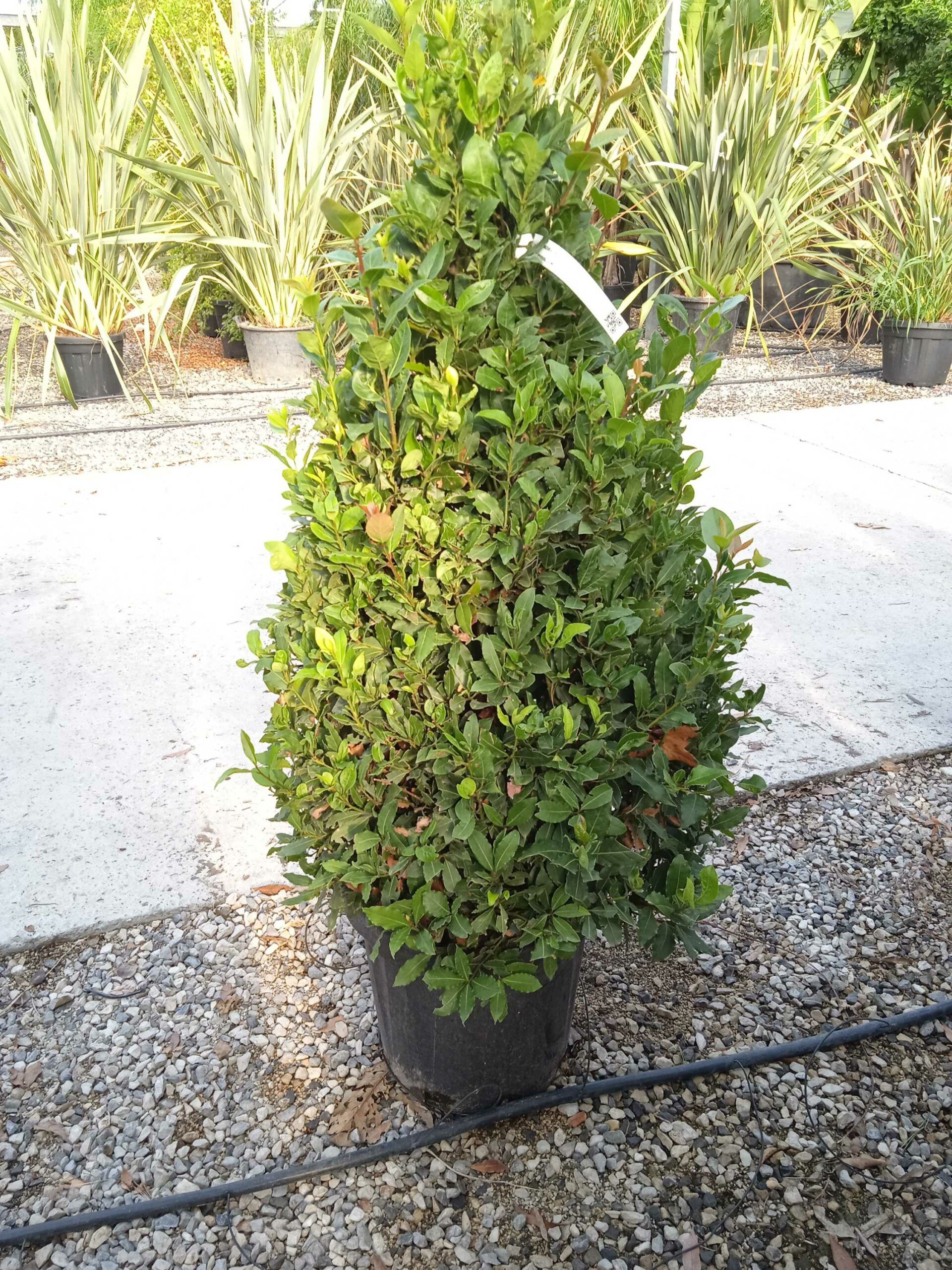 1662447219 scaled 53243caf