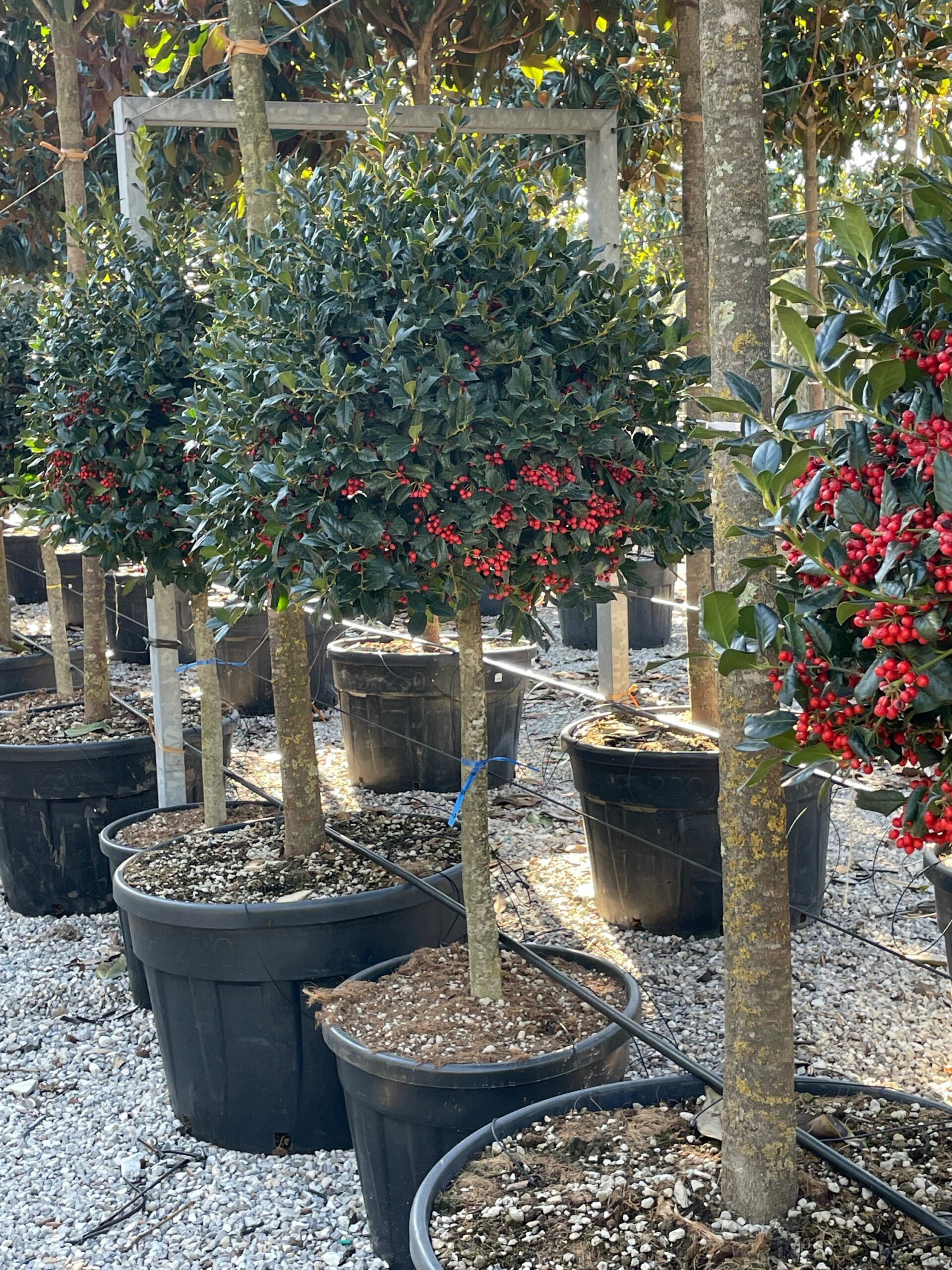 1676294189 scaled 5361b66b