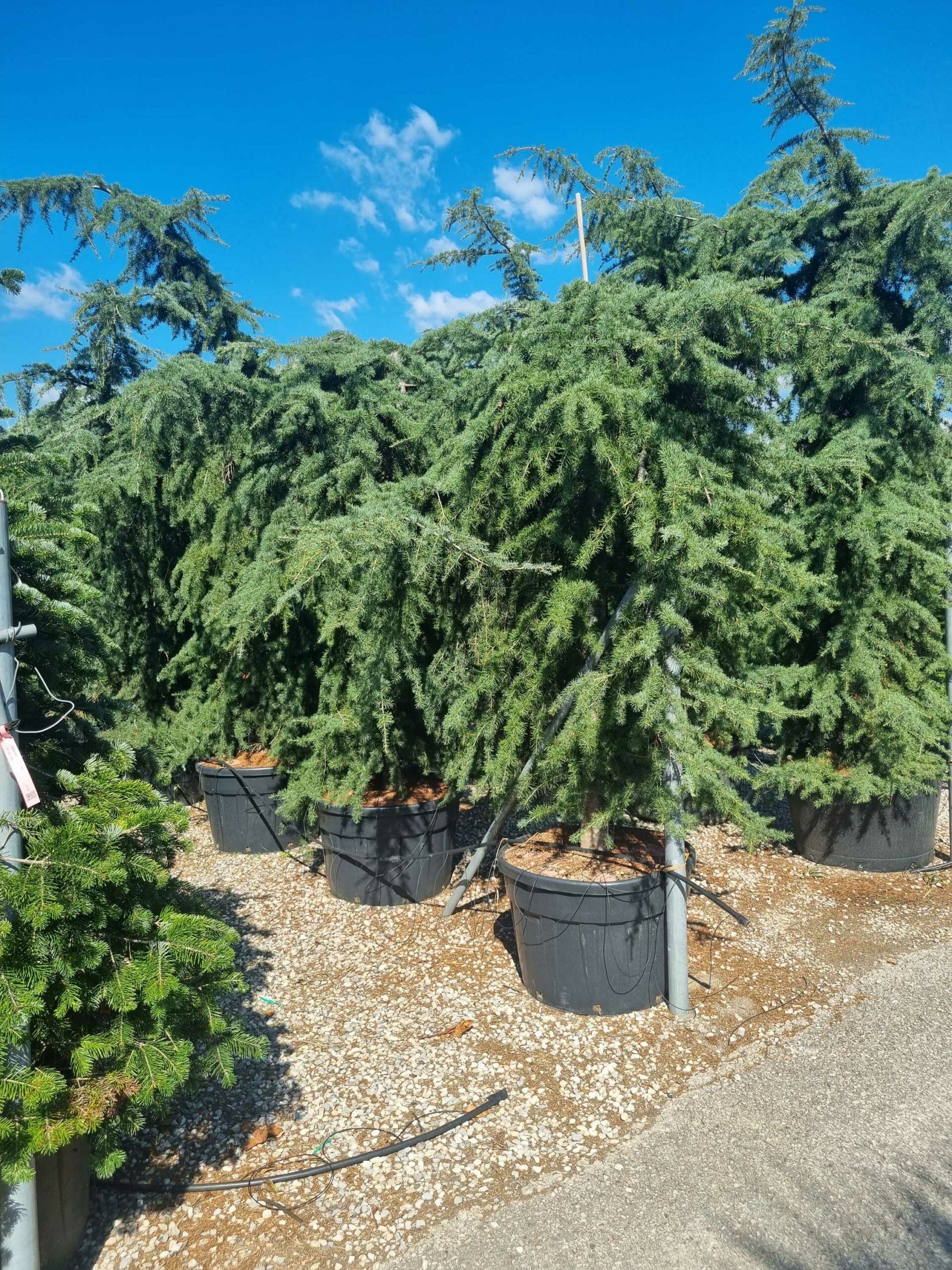 1694015006 scaled 539ee063