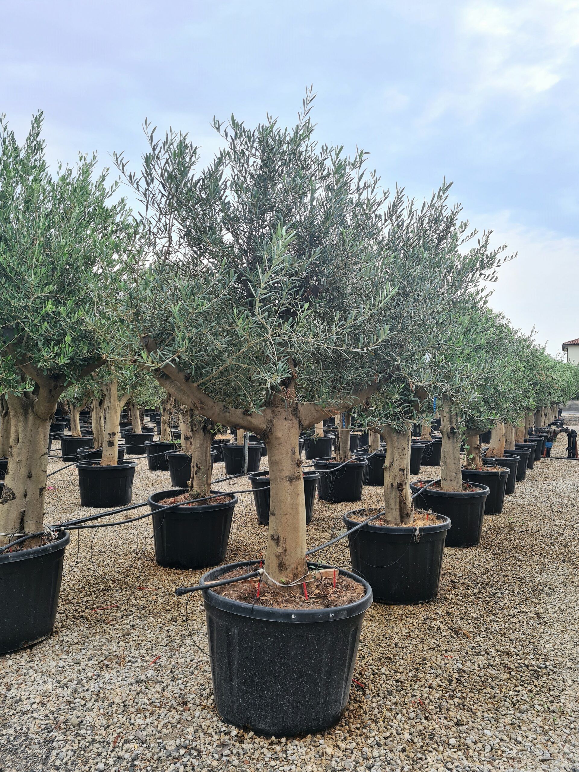 1631781298 scaled 543076f8