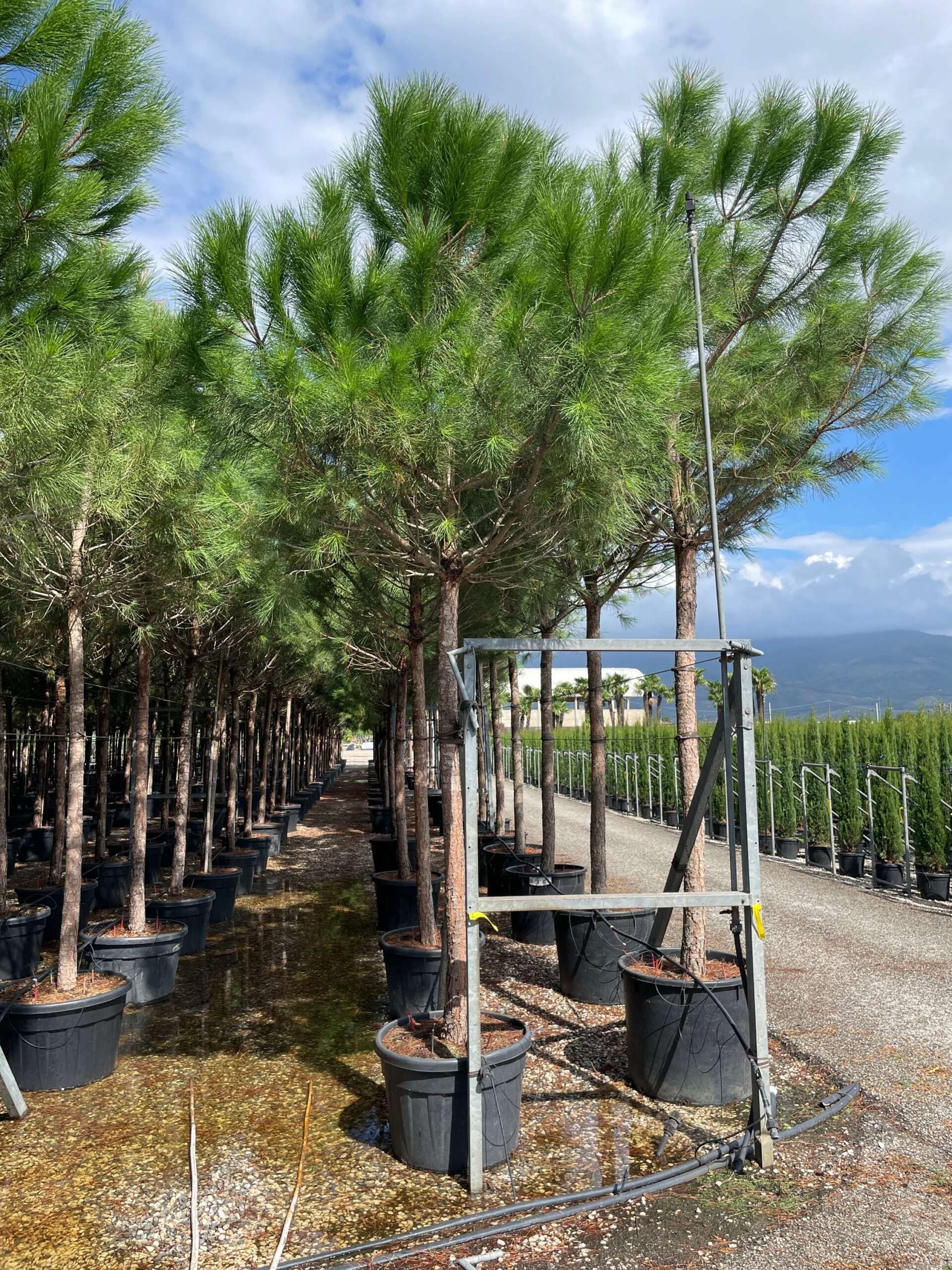 1631961070 scaled 54da8a54