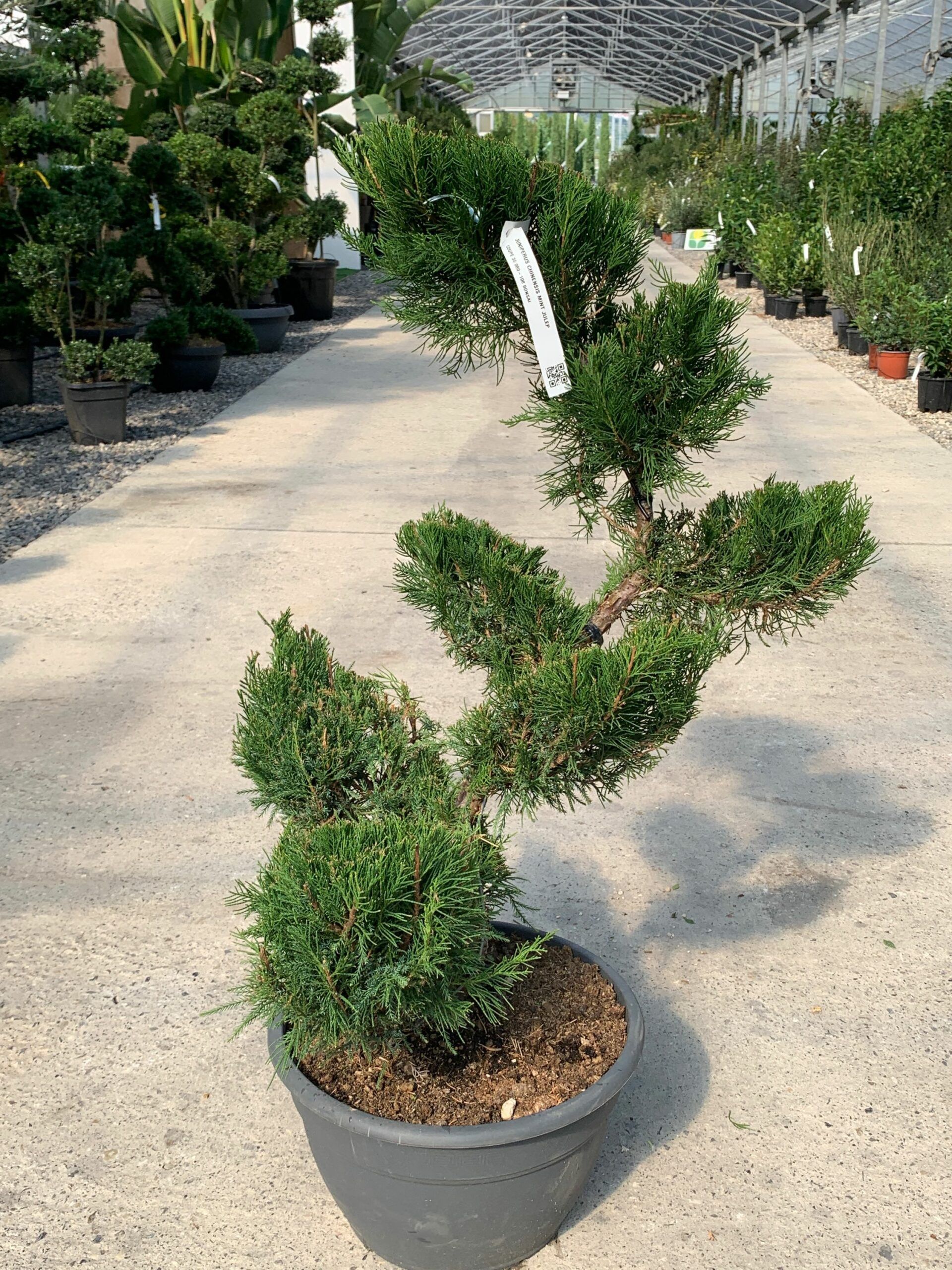 1632832939 scaled 54911815